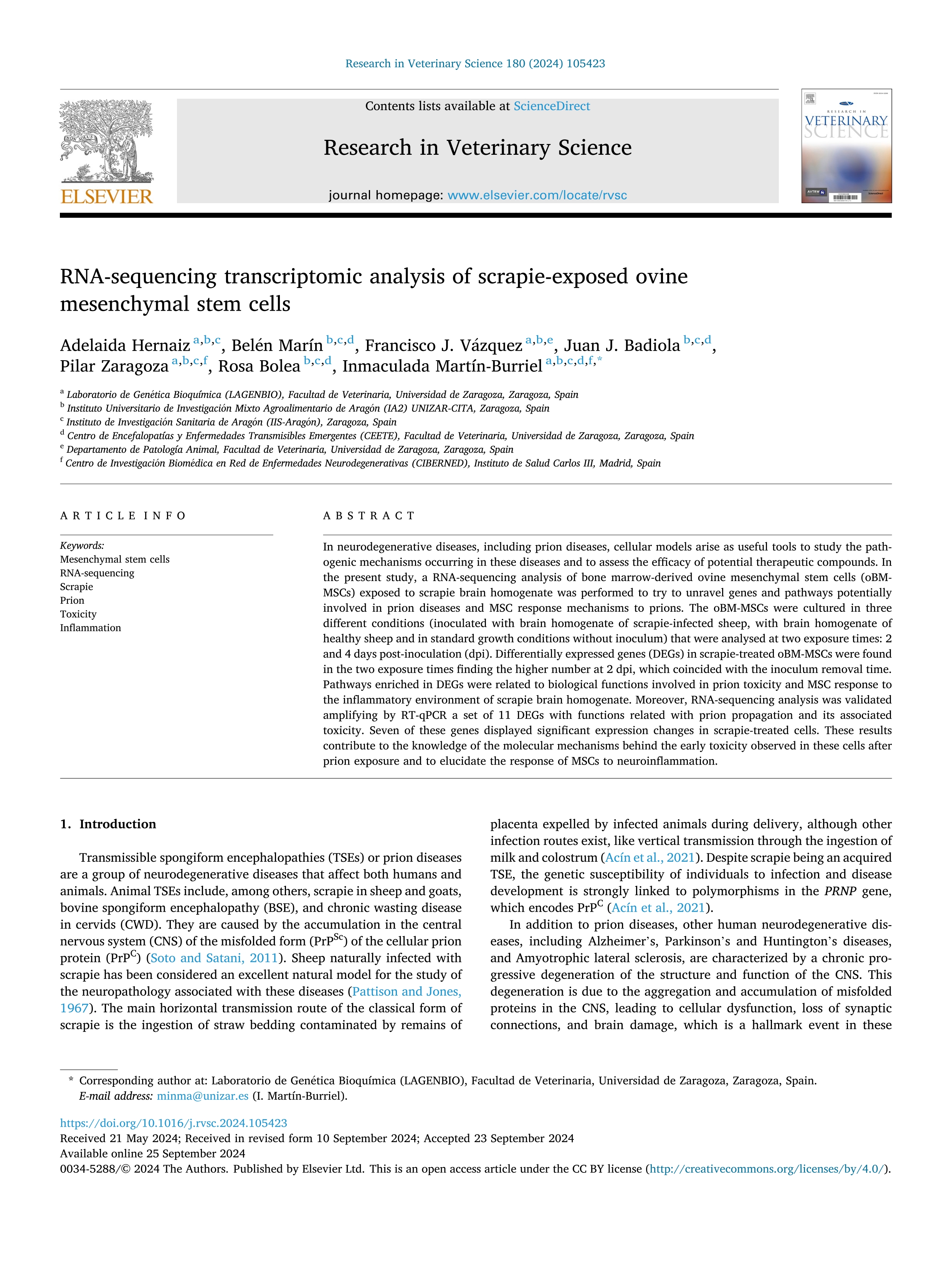 RNA-sequencing transcriptomic analysis of scrapie-exposed ovine mesenchymal stem cells