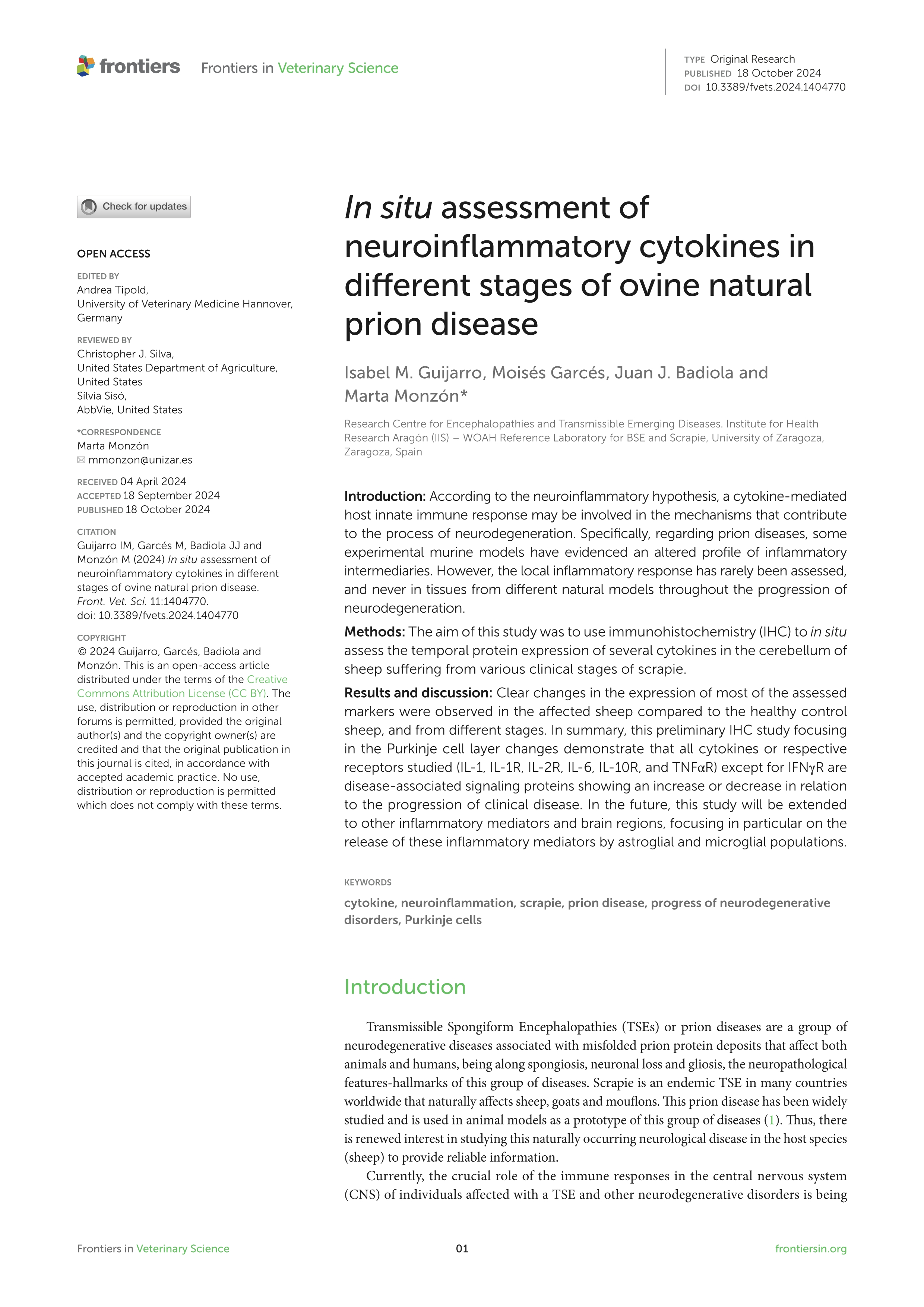 In situ assessment of neuroinflammatory cytokines in different stages of ovine natural prion disease