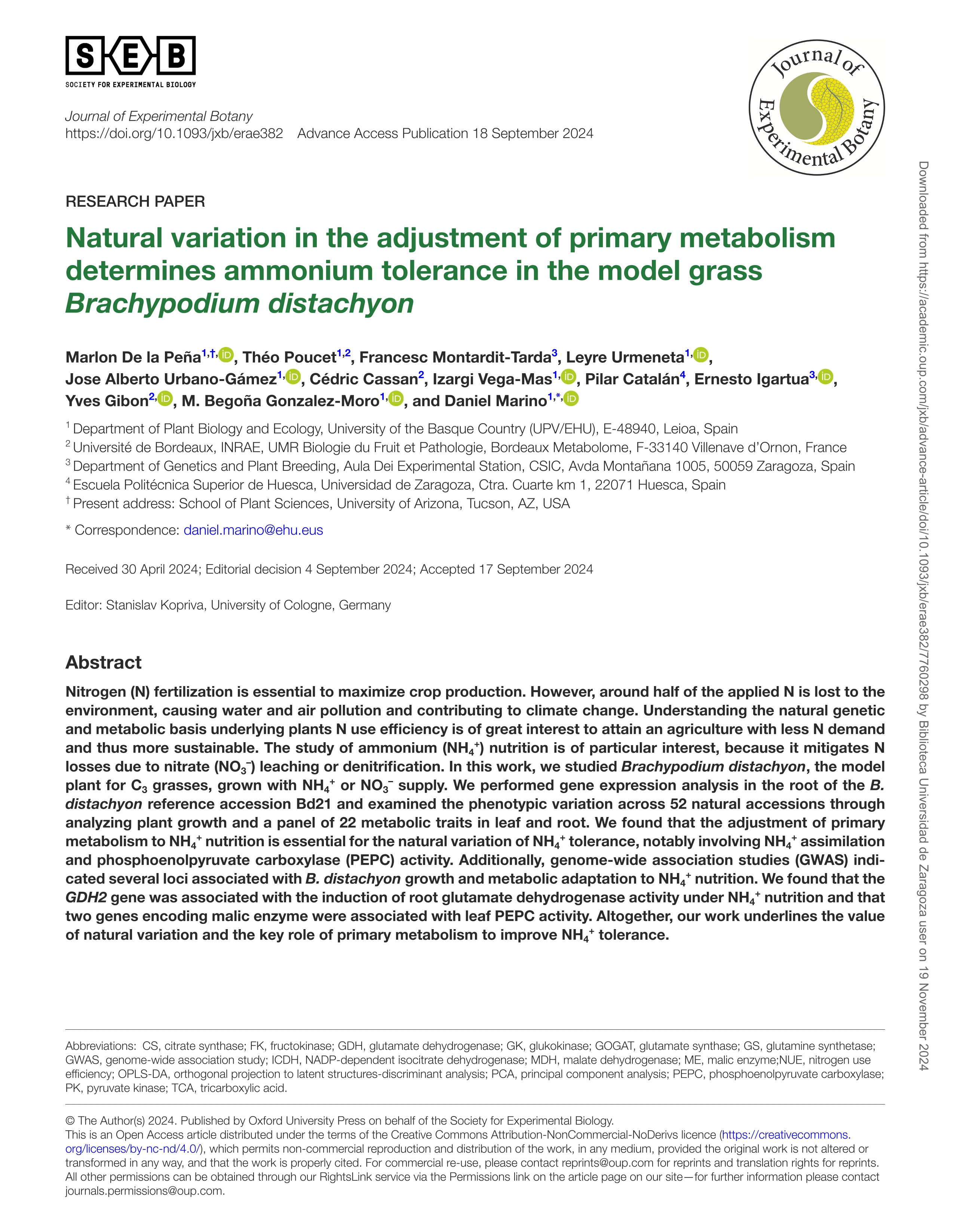 Natural variation in the adjustment of primary metabolism determines ammonium tolerance in the model grass Brachypodium distachyon