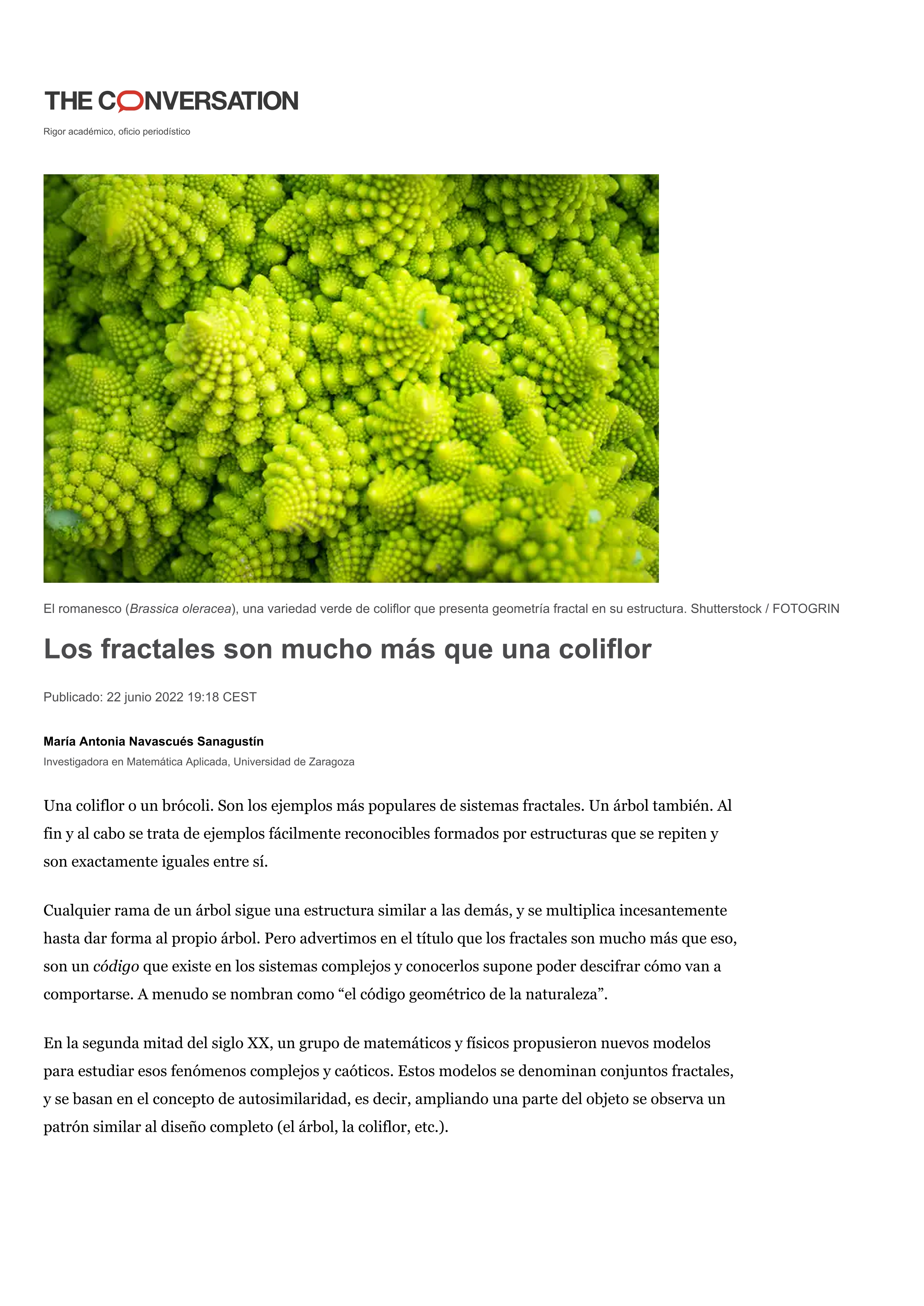 Los fractales son algo más que una coliflor