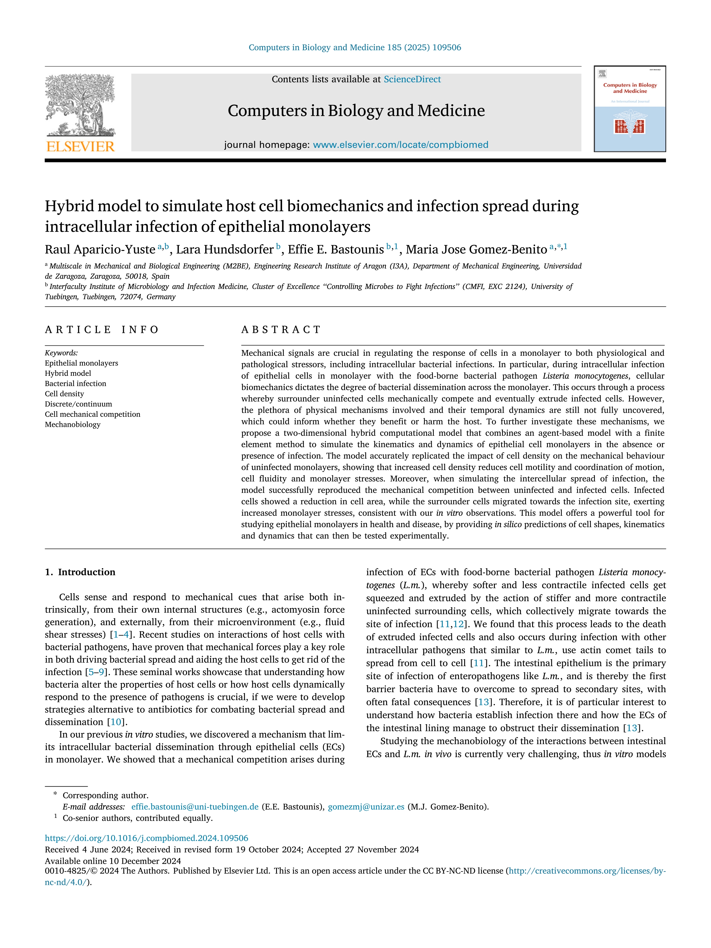 Hybrid model to simulate host cell biomechanics and infection spread during intracellular infection of epithelial monolayers