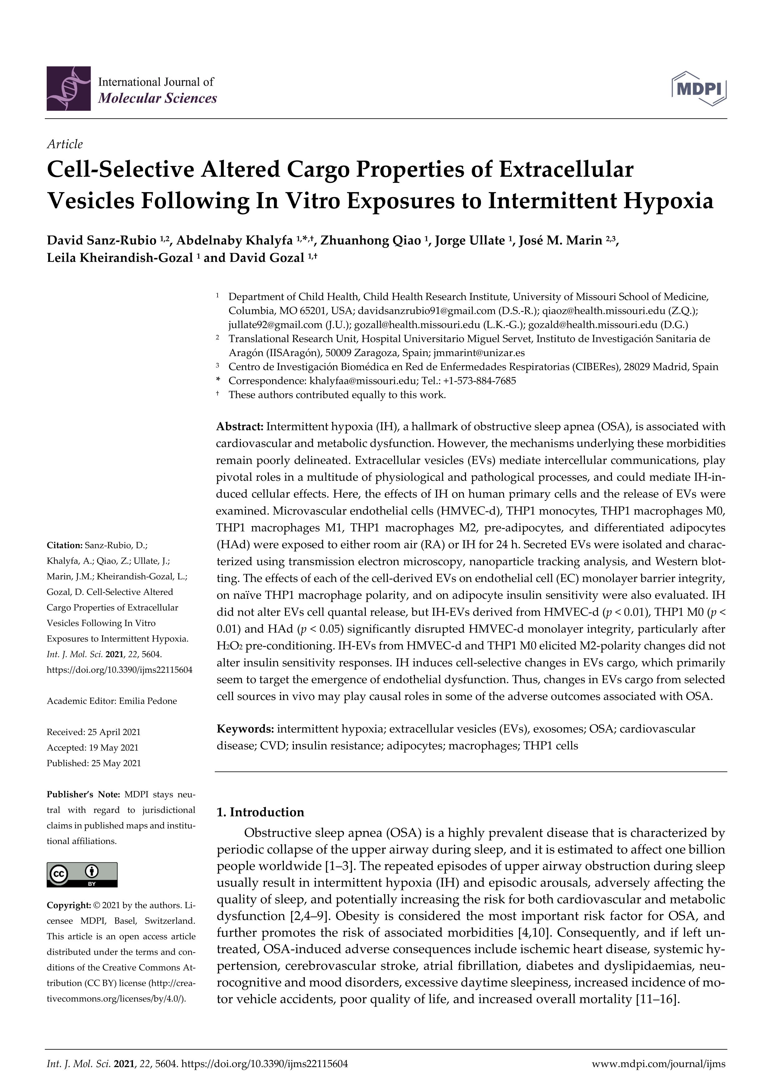 Cell-Selective Altered Cargo Properties of Extracellular Vesicles Following In Vitro Exposures to Intermittent Hypoxia