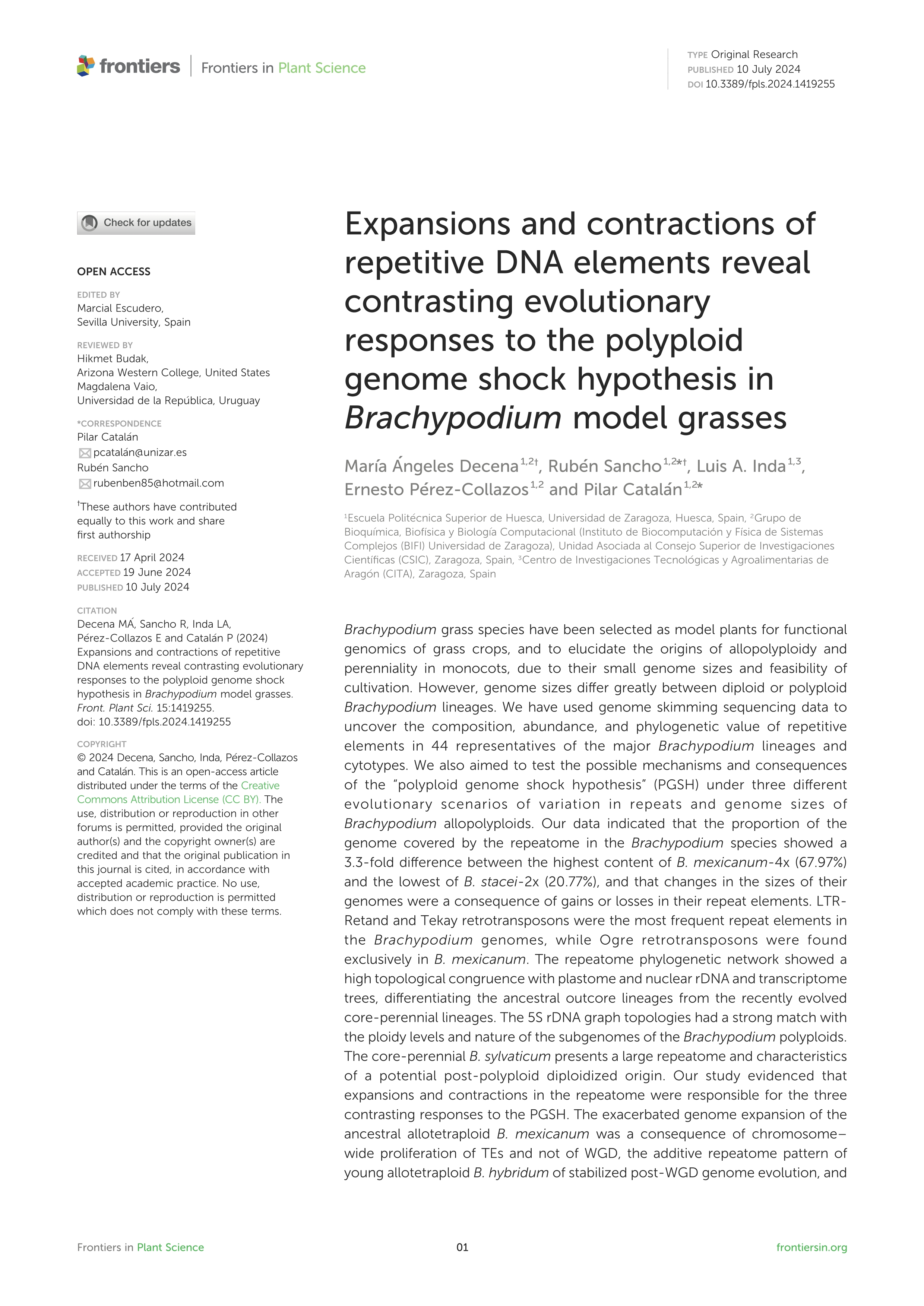 Expansions and contractions of repetitive DNA elements reveal contrasting evolutionary responses to the polyploid genome shock hypothesis in Brachypodium model grasses