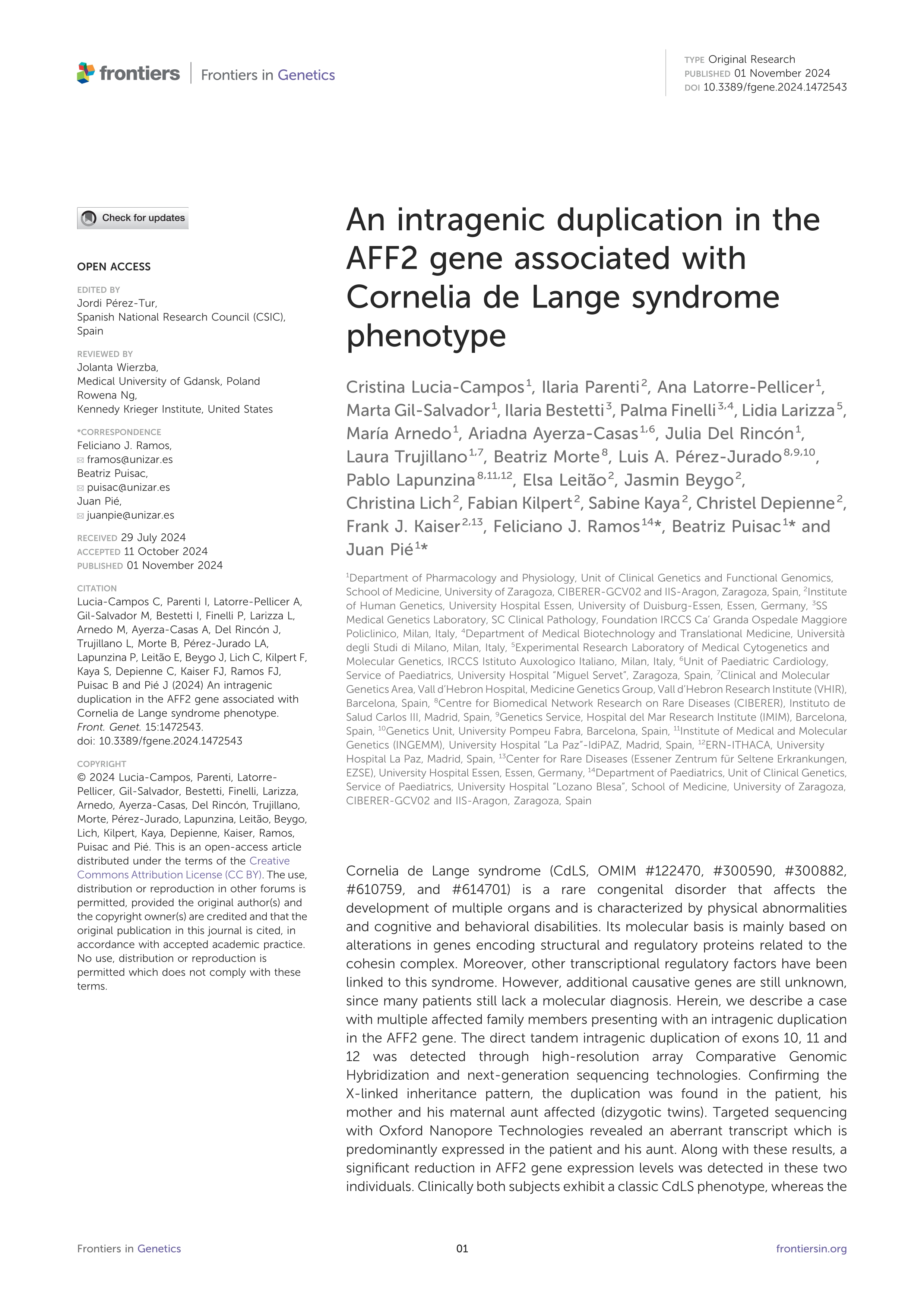 An intragenic duplication in the AFF2 gene associated with Cornelia de Lange syndrome phenotype