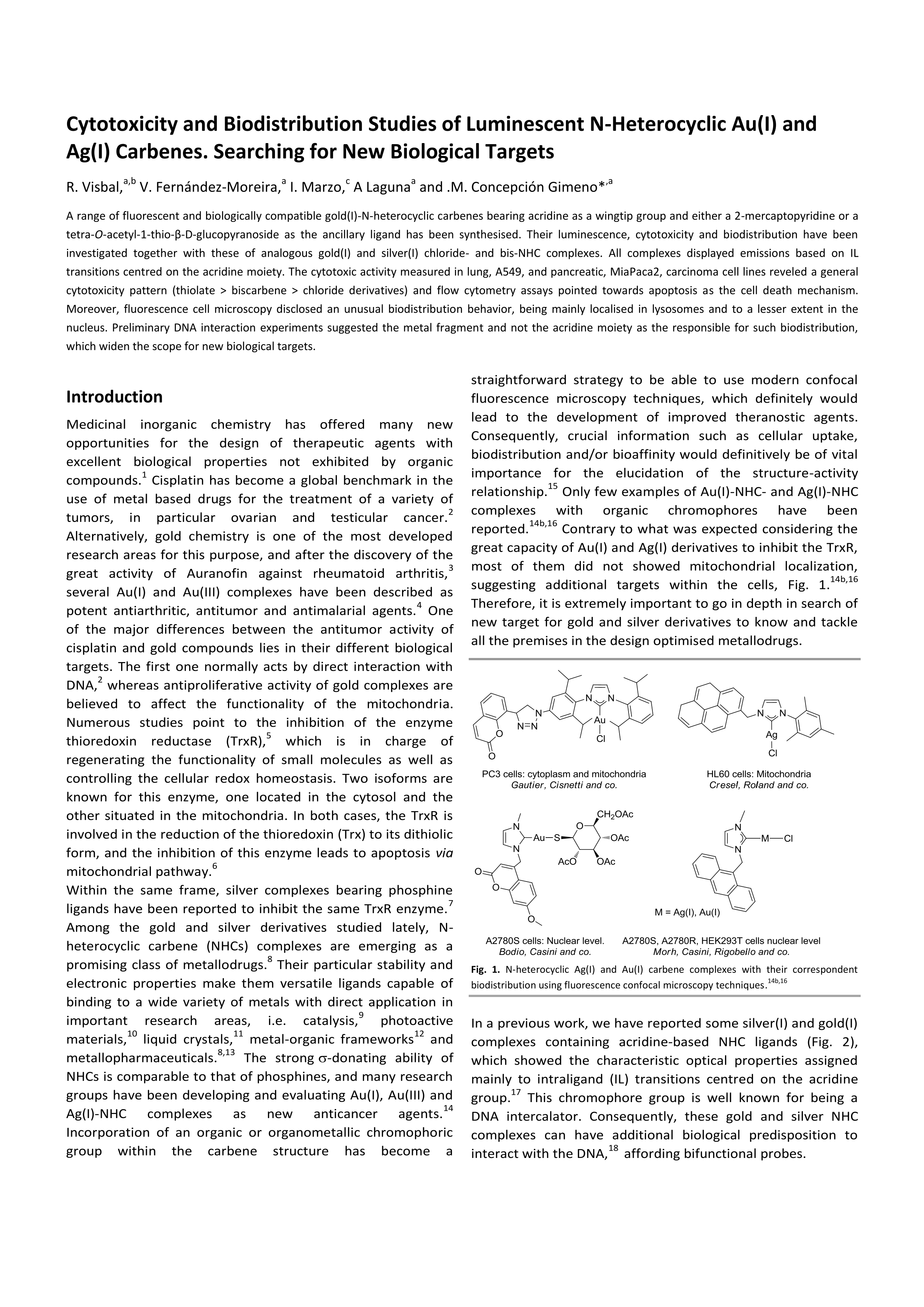 Cytotoxicity and biodistribution studies of luminescent Au(I) and Ag(I) N-heterocyclic carbenes. Searching for new biological targets