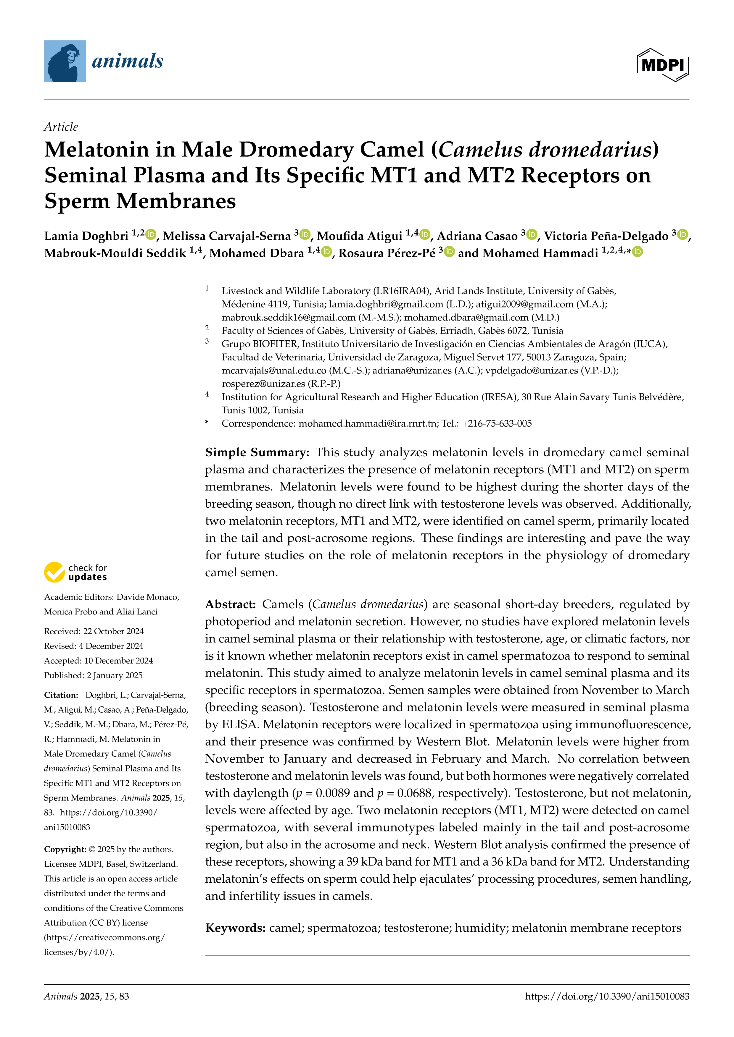 Melatonin in Male Dromedary Camel (Camelus dromedarius) Seminal Plasma and Its Specific MT1 and MT2 Receptors on Sperm Membranes