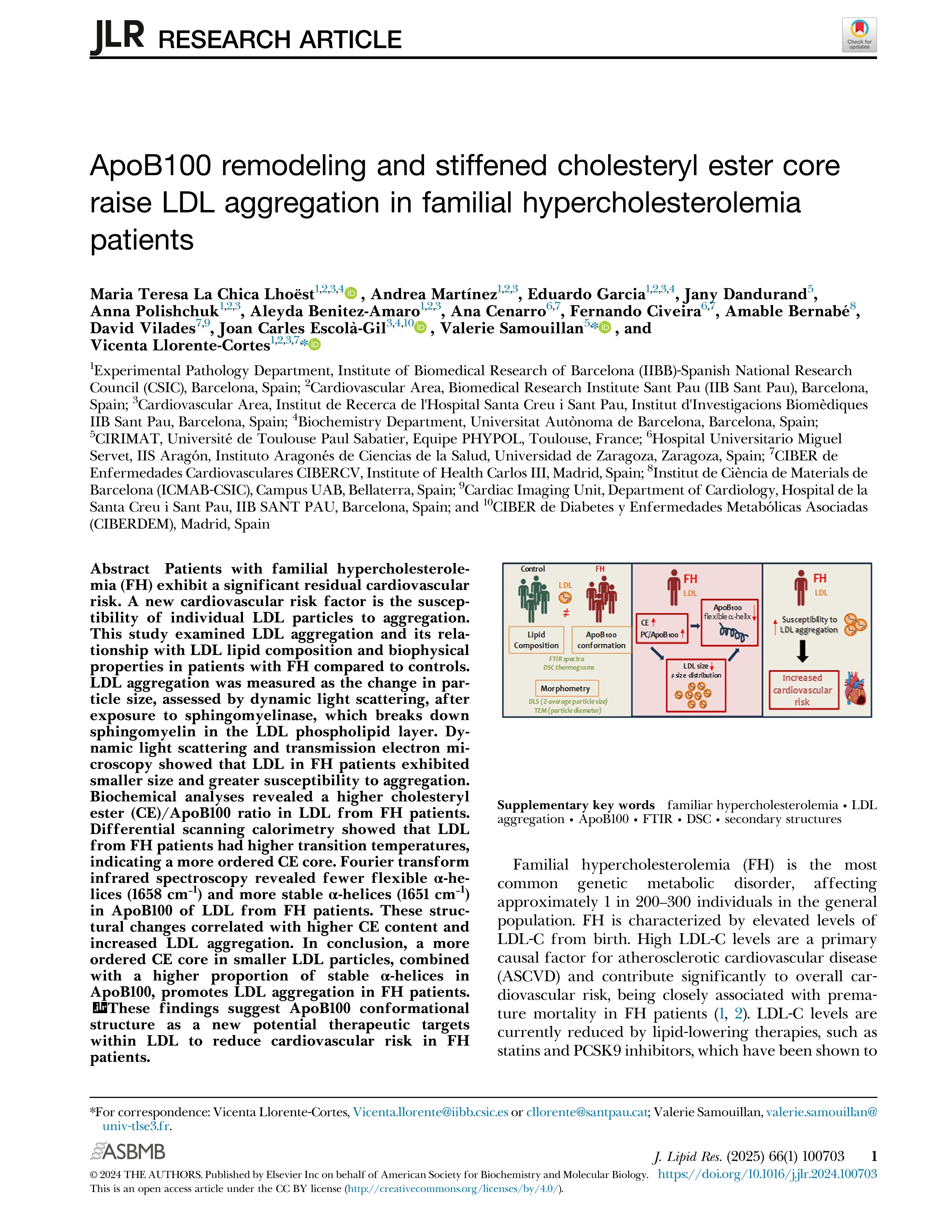 ApoB100 remodeling and stiffened cholesteryl ester core raise LDL aggregation in familial hypercholesterolemia patients