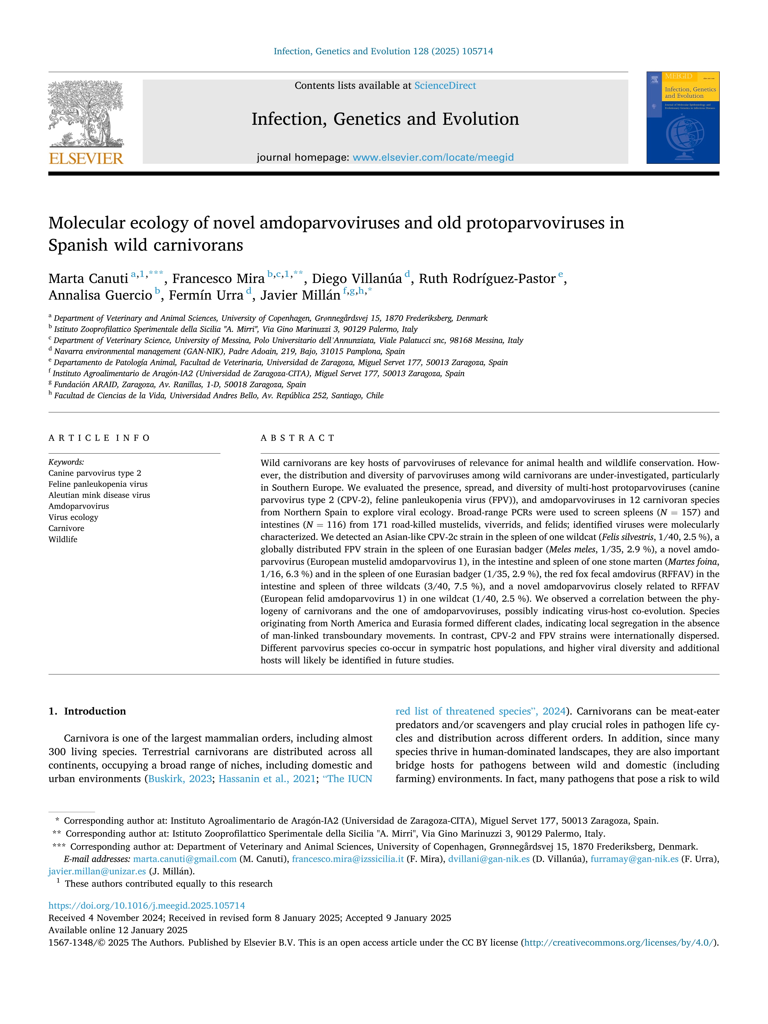 Molecular ecology of novel amdoparvoviruses and old protoparvoviruses in Spanish wild carnivorans