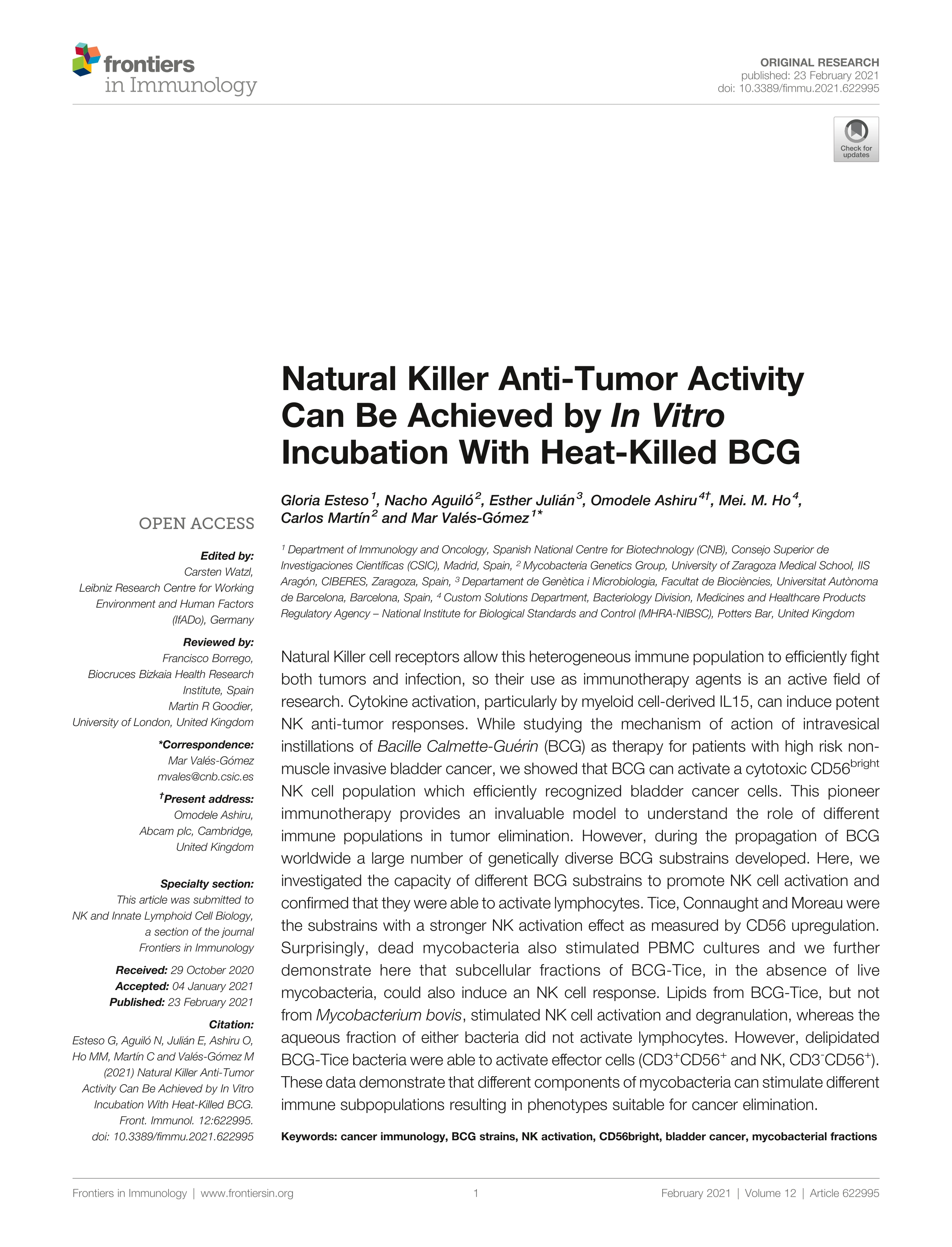 Natural killer anti-tumor activity can be achieved by in vitro incubation with heat-killed BCG