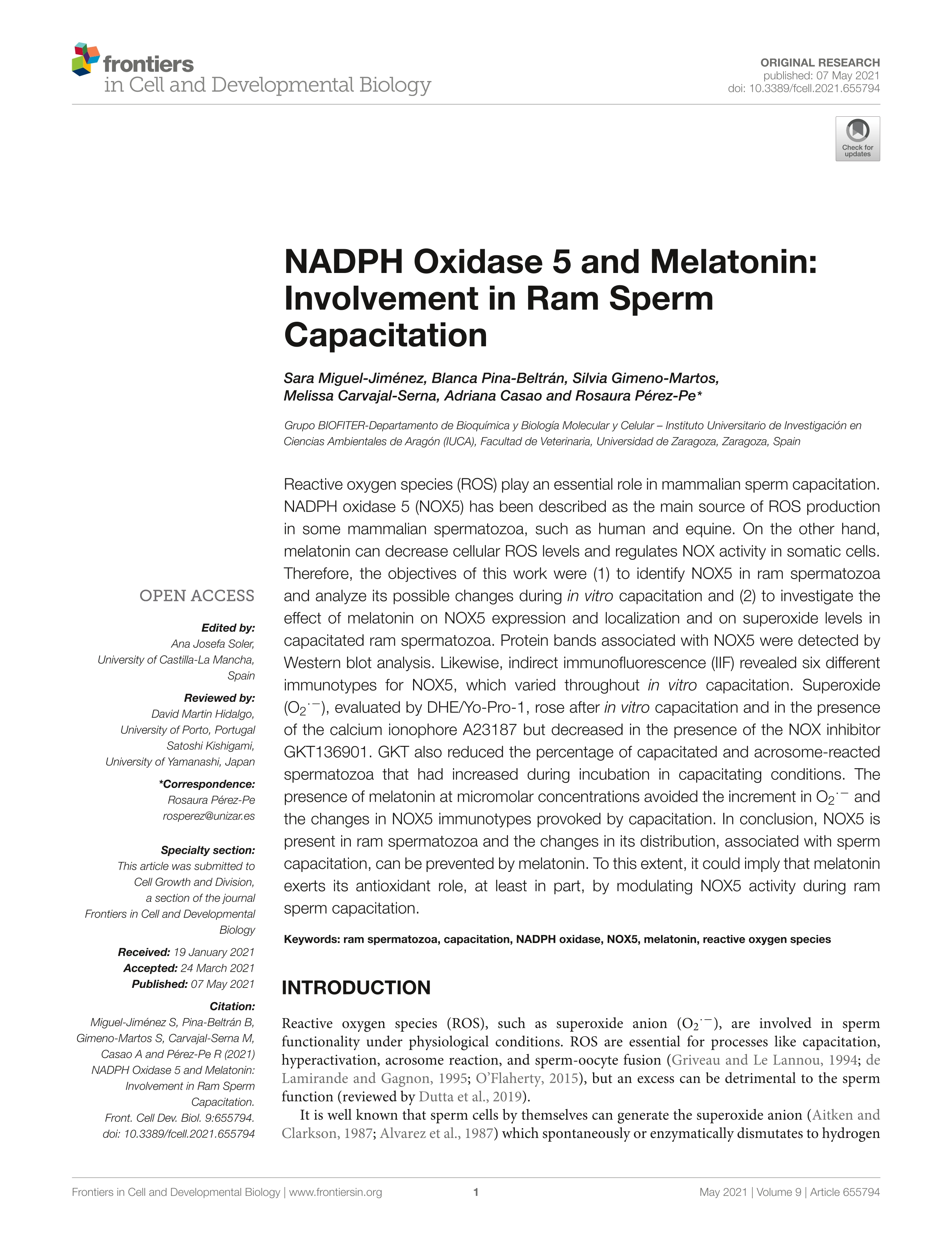 NADPH Oxidase 5 and Melatonin: Involvement in Ram Sperm Capacitation