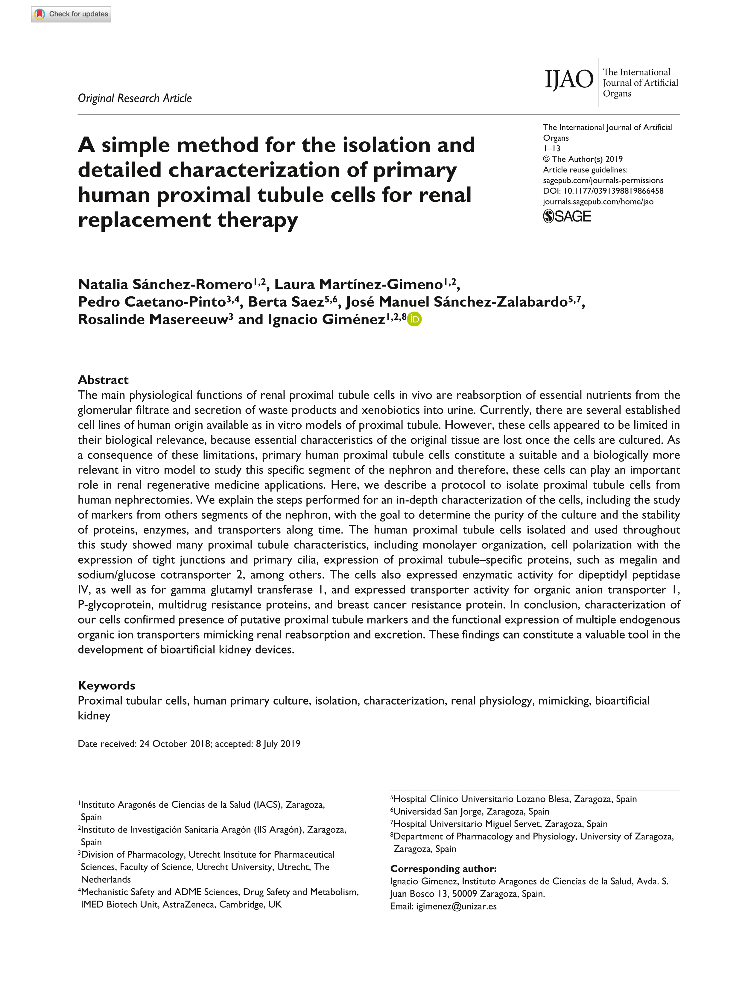 A simple method for the isolation and detailed characterization of primary human proximal tubule cells for renal replacement therapy