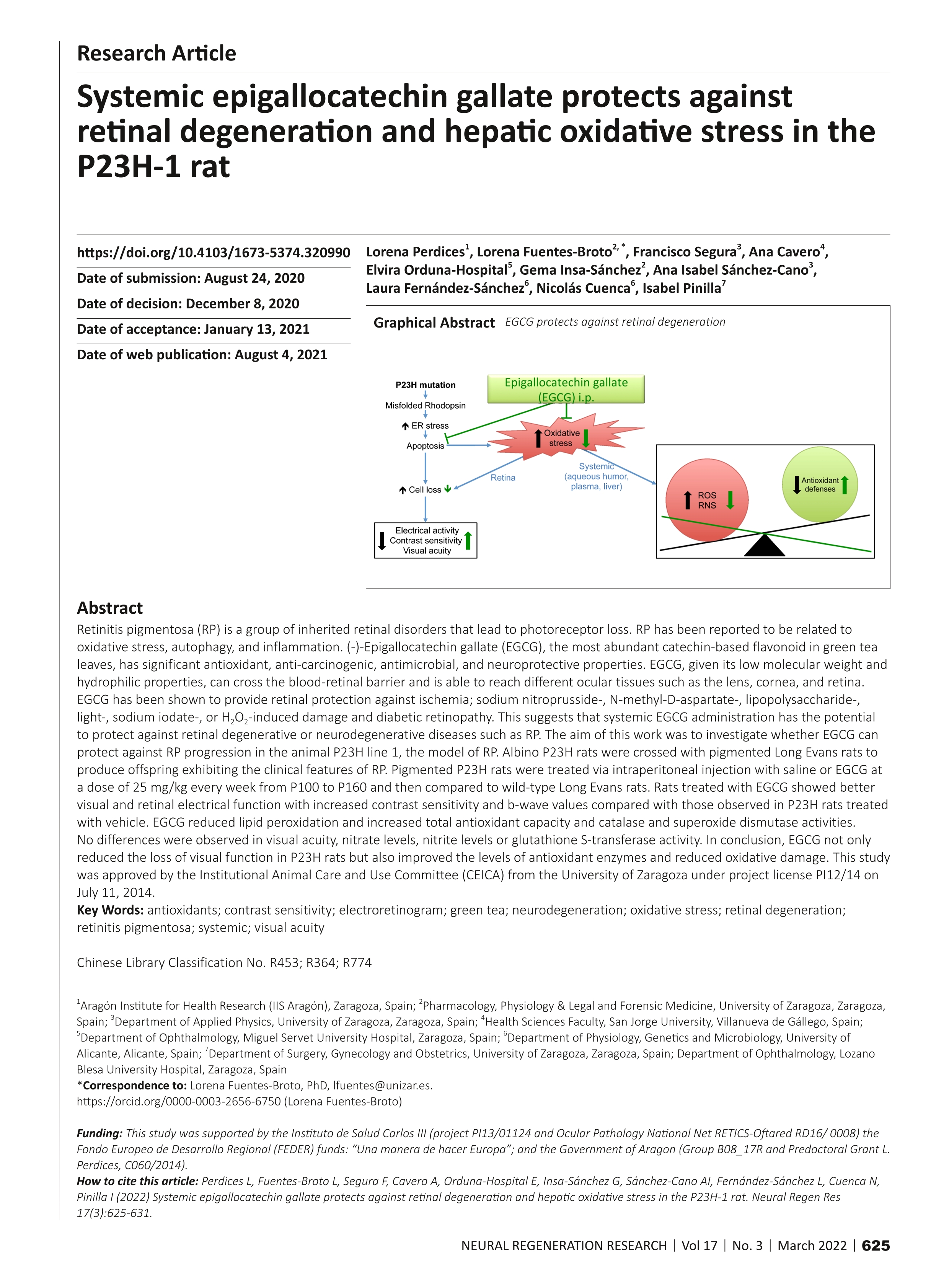 Systemic epigallocatechin gallate protects against retinal degeneration and hepatic oxidative stress in the P23H-1 rat