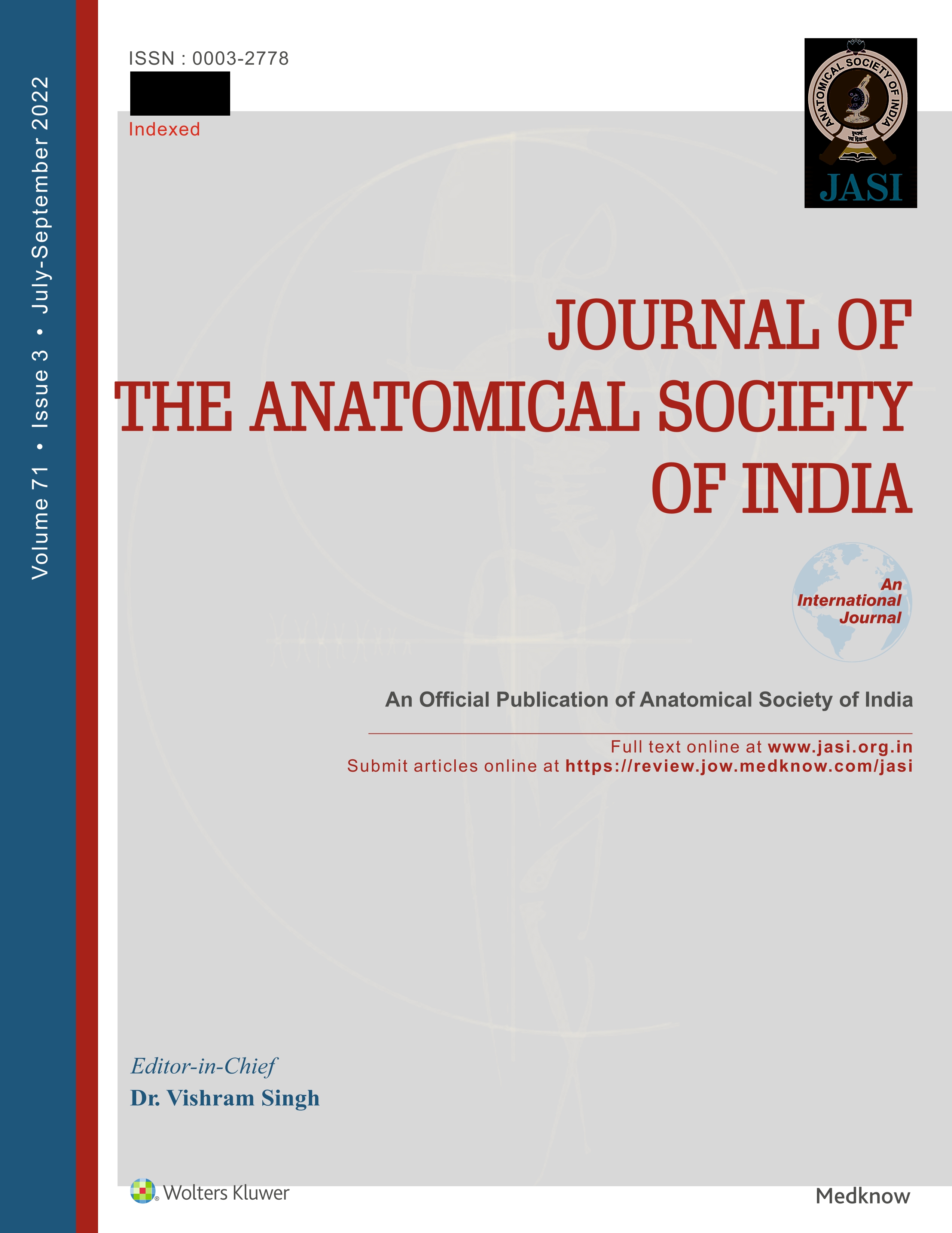 Description of an atypical vascular arch in the renal parenchyma