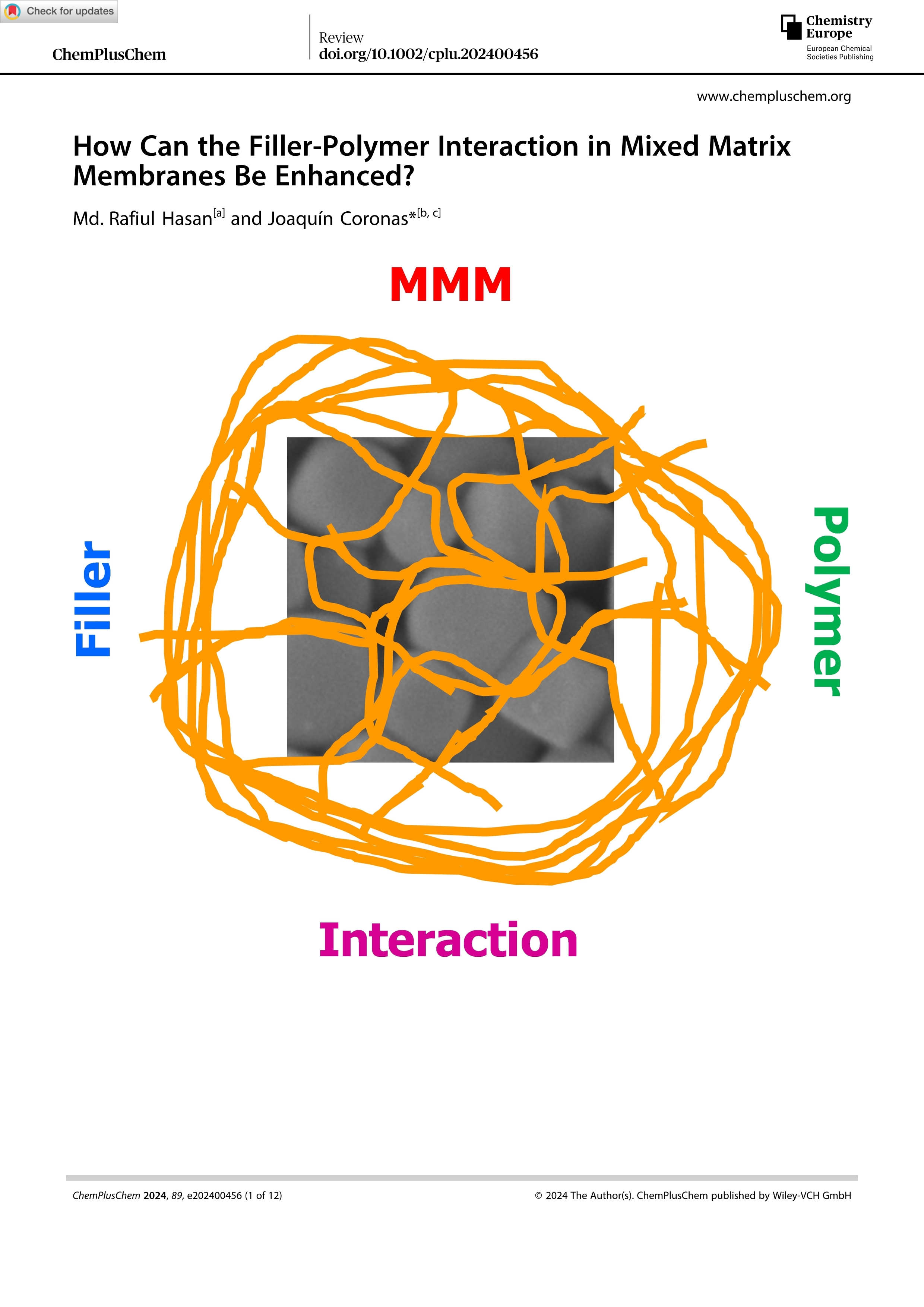 How Can the Filler-Polymer Interaction in Mixed Matrix Membranes Be Enhanced?