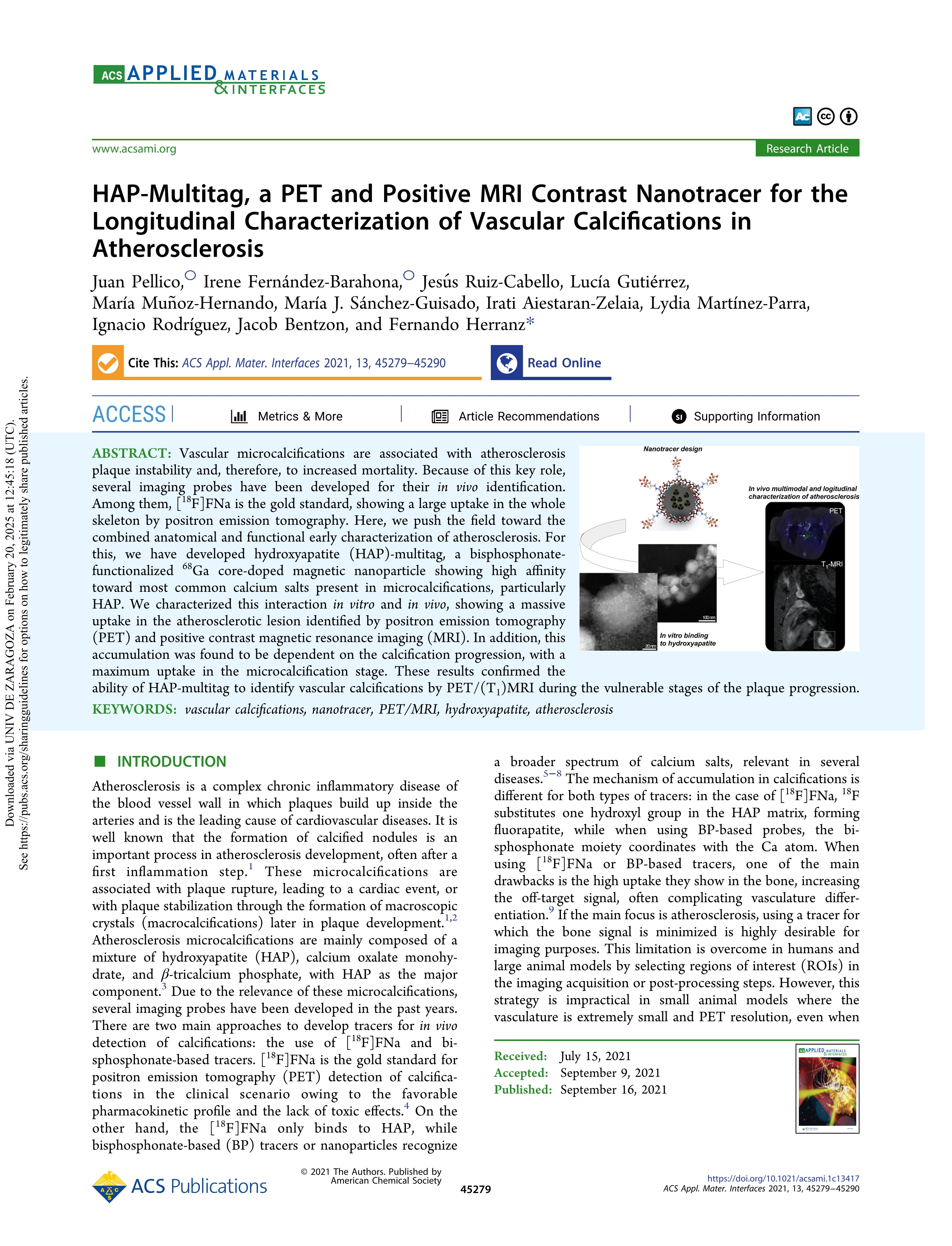 HAP-Multitag, a PET and Positive MRI Contrast Nanotracer for the Longitudinal Characterization of Vascular Calcifications in Atherosclerosis
