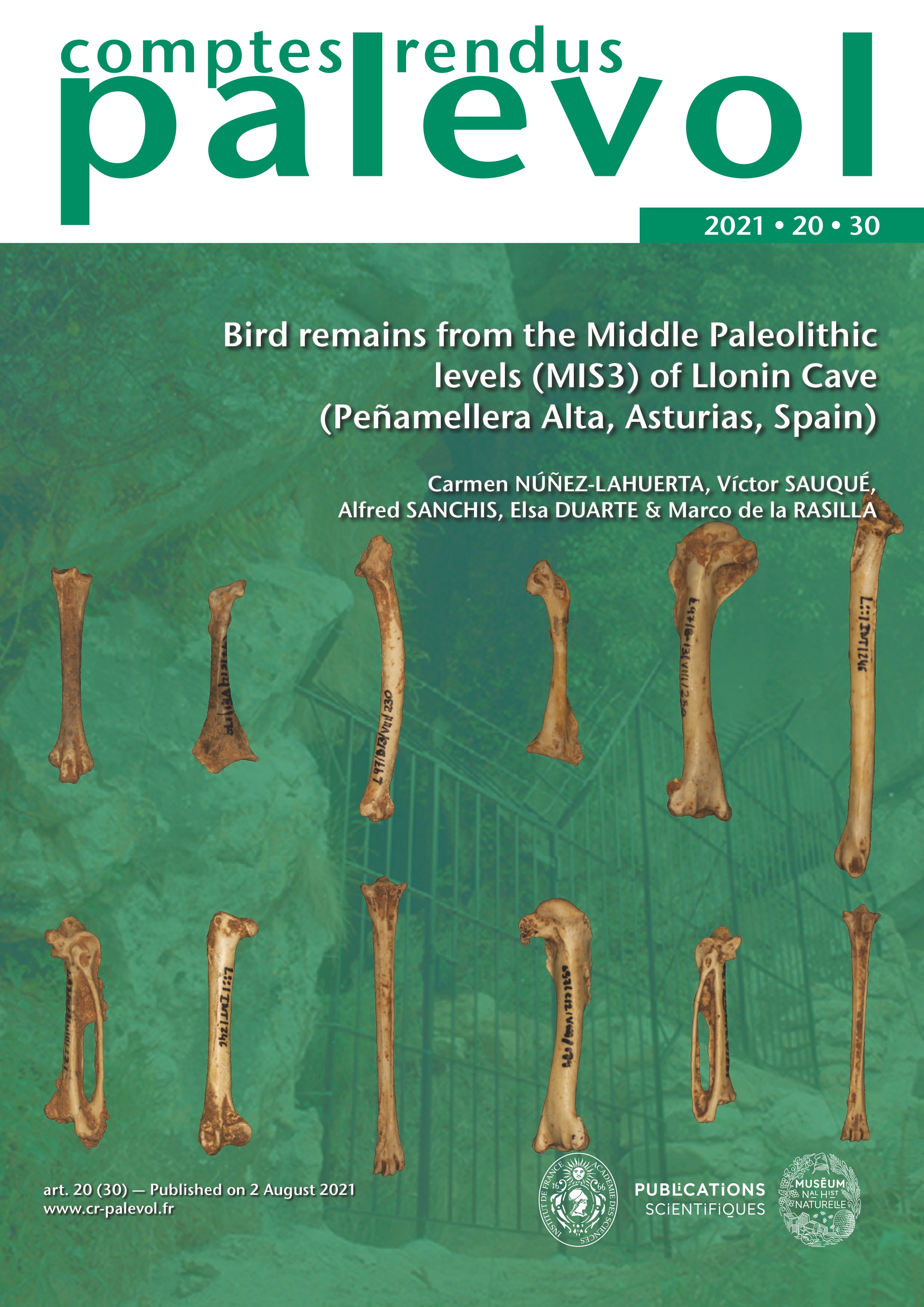 Bird remains from the Middle Paleolithic levels (MIS3) of Llonin Cave (Peñamellera Alta, Asturias, Spain)