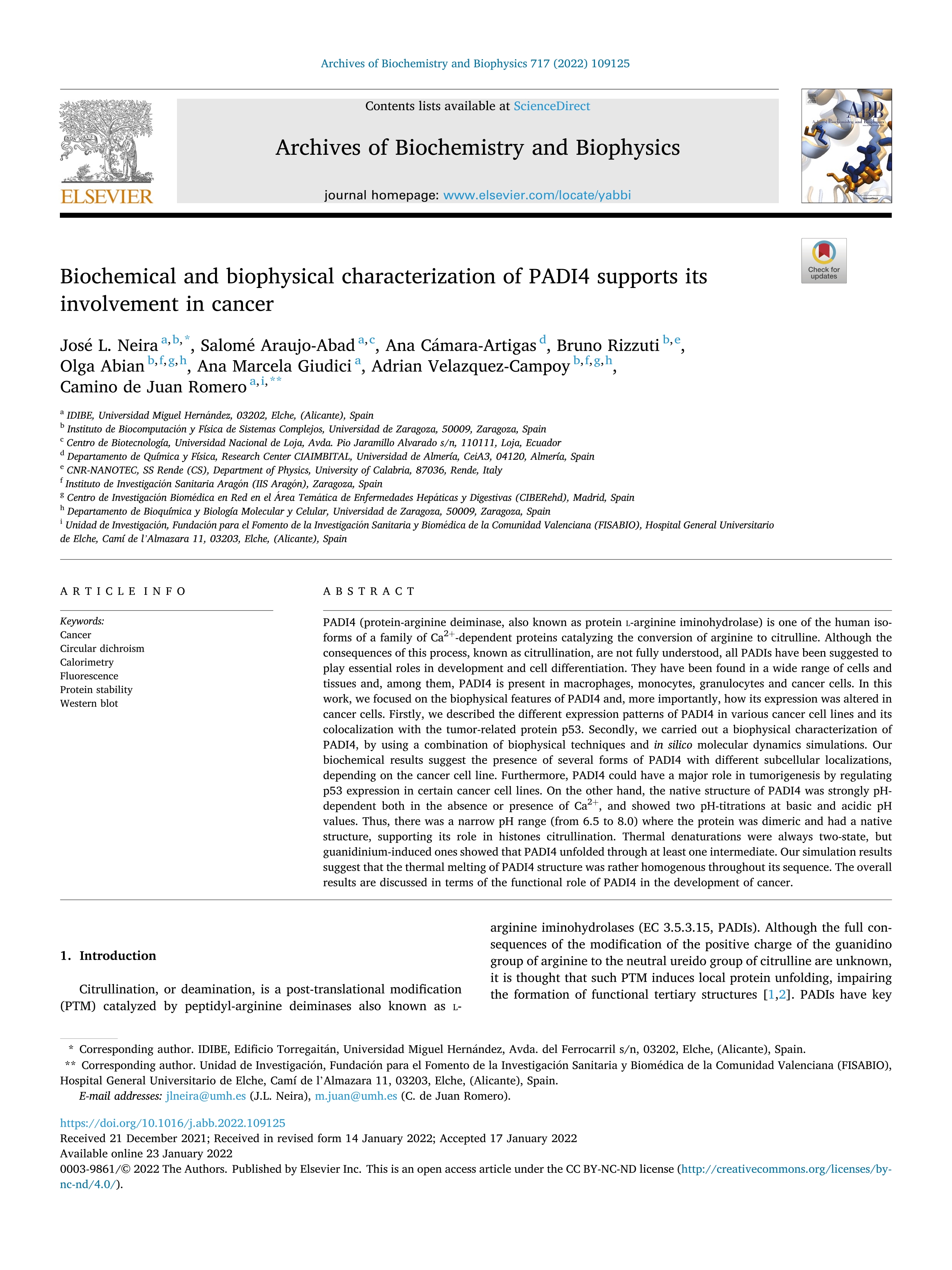 Biochemical and biophysical characterization of PADI4 supports its involvement in cancer