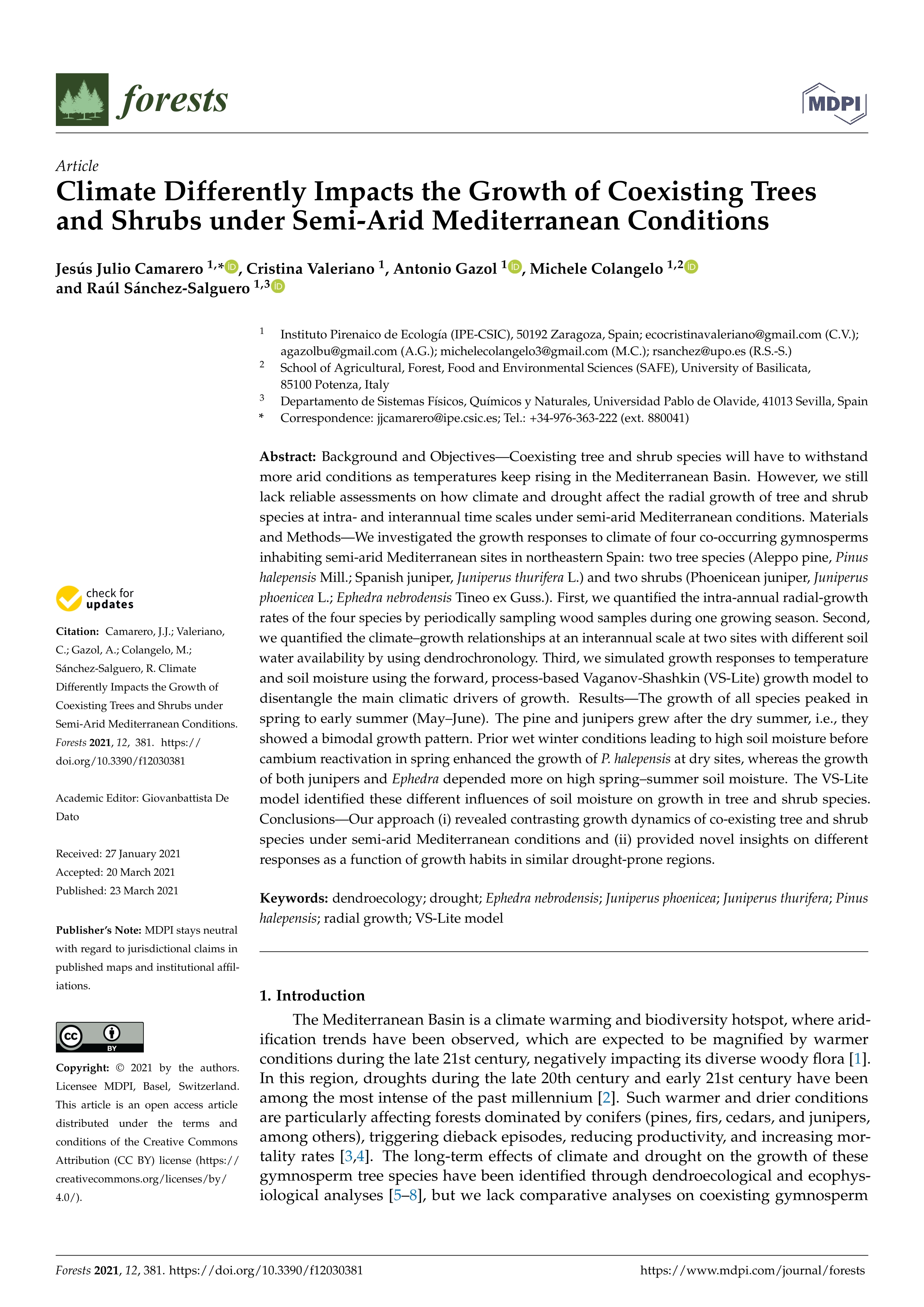 Climate differently impacts the growth of coexisting trees and shrubs under semi-arid mediterranean conditions