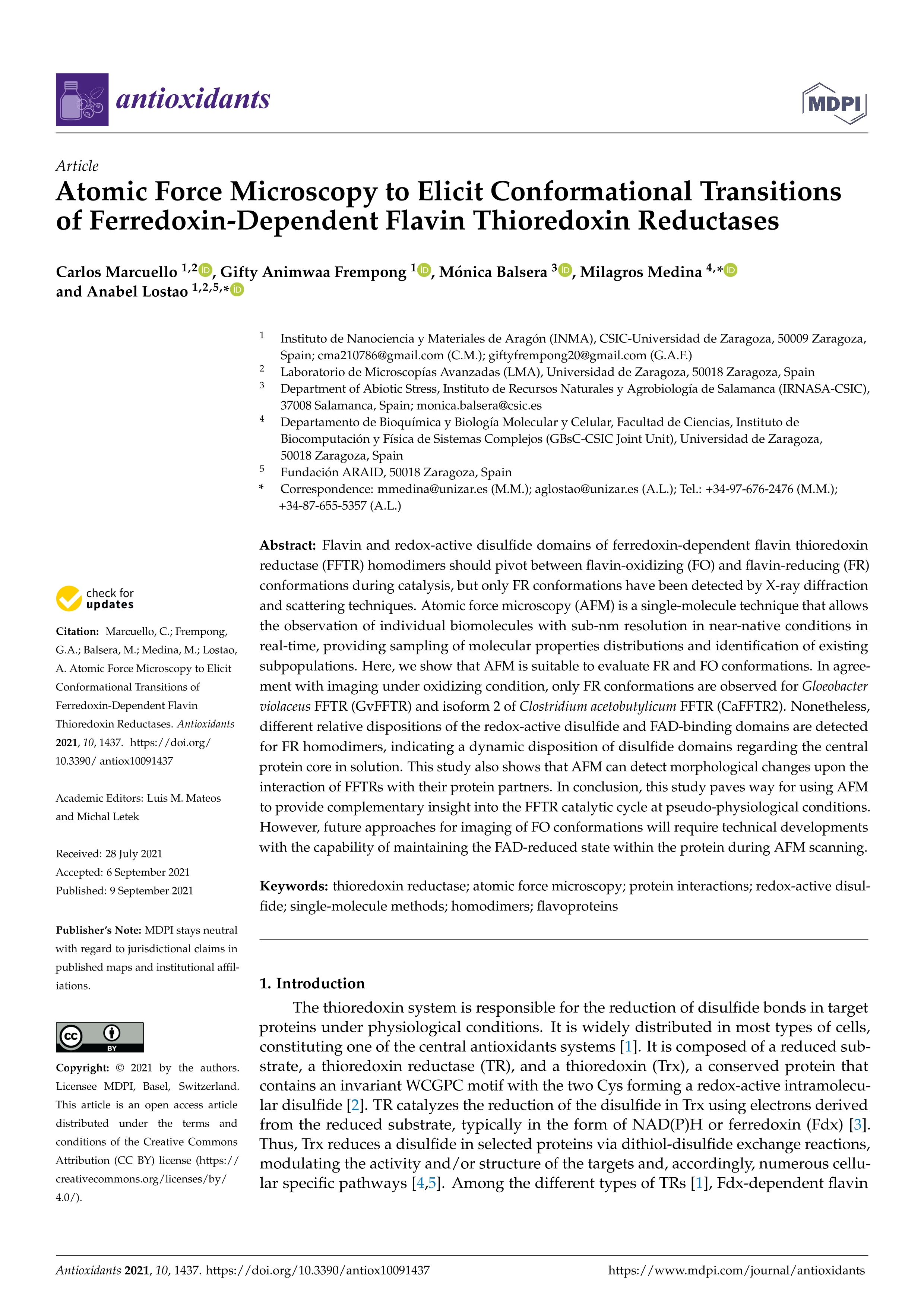 Atomic force microscopy to elicit conformational transitions of ferredoxin-dependent flavin thioredoxin reductases