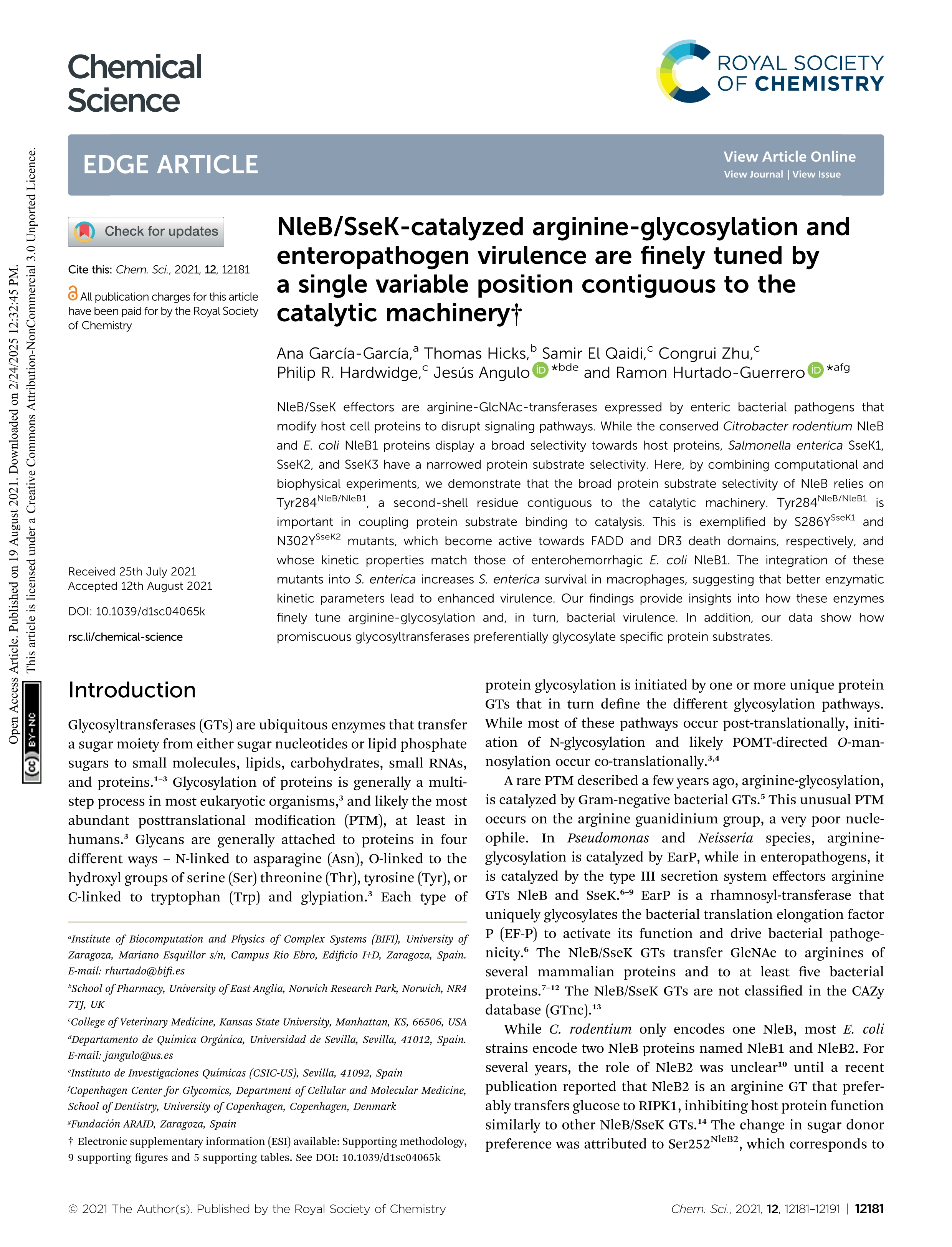 NleB/SseK-catalyzed arginine-glycosylation and enteropathogen virulence are finely tuned by a single variable position contiguous to the catalytic machinery