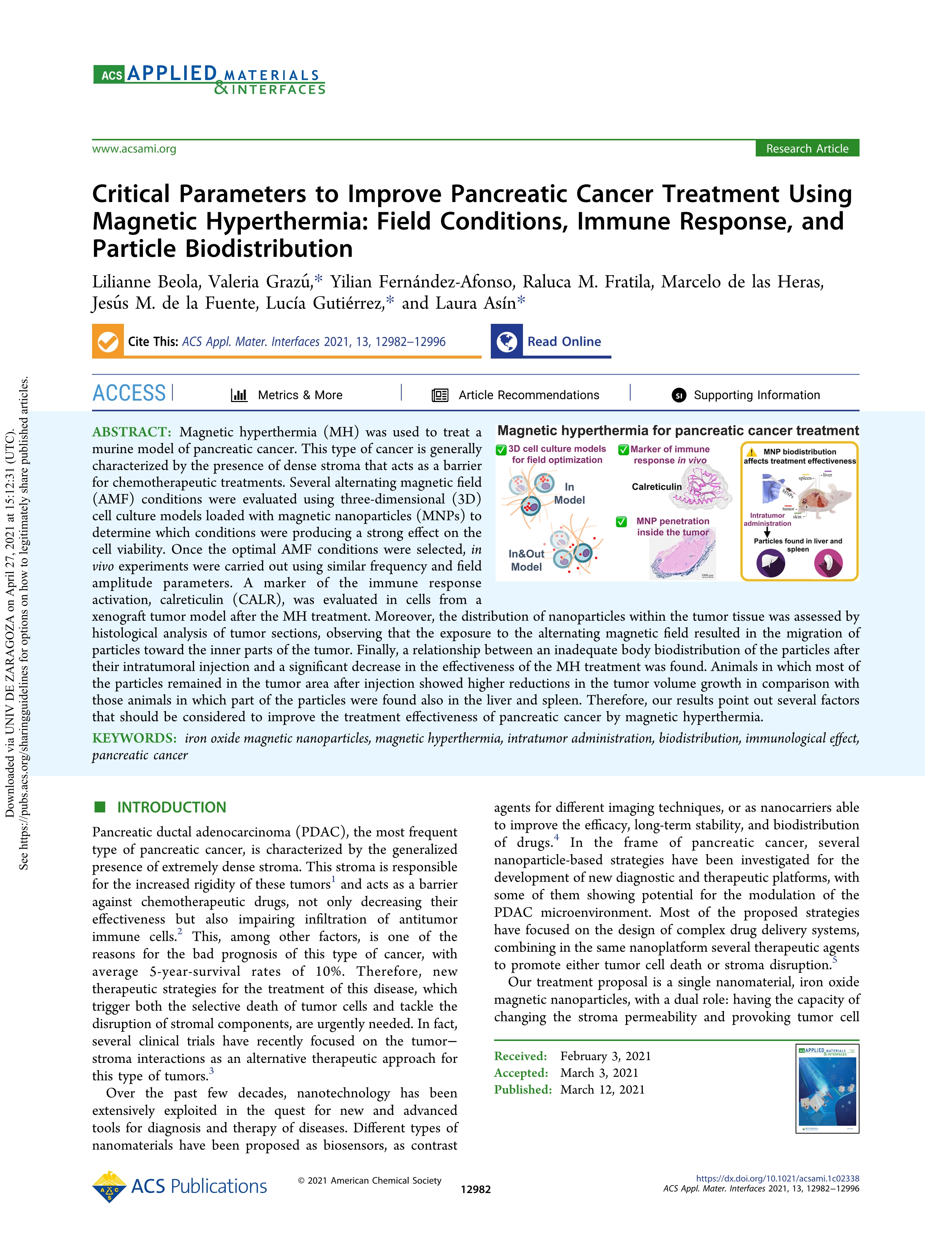 Critical Parameters to Improve Pancreatic Cancer Treatment Using Magnetic Hyperthermia: Field Conditions, Immune Response, and Particle Biodistribution