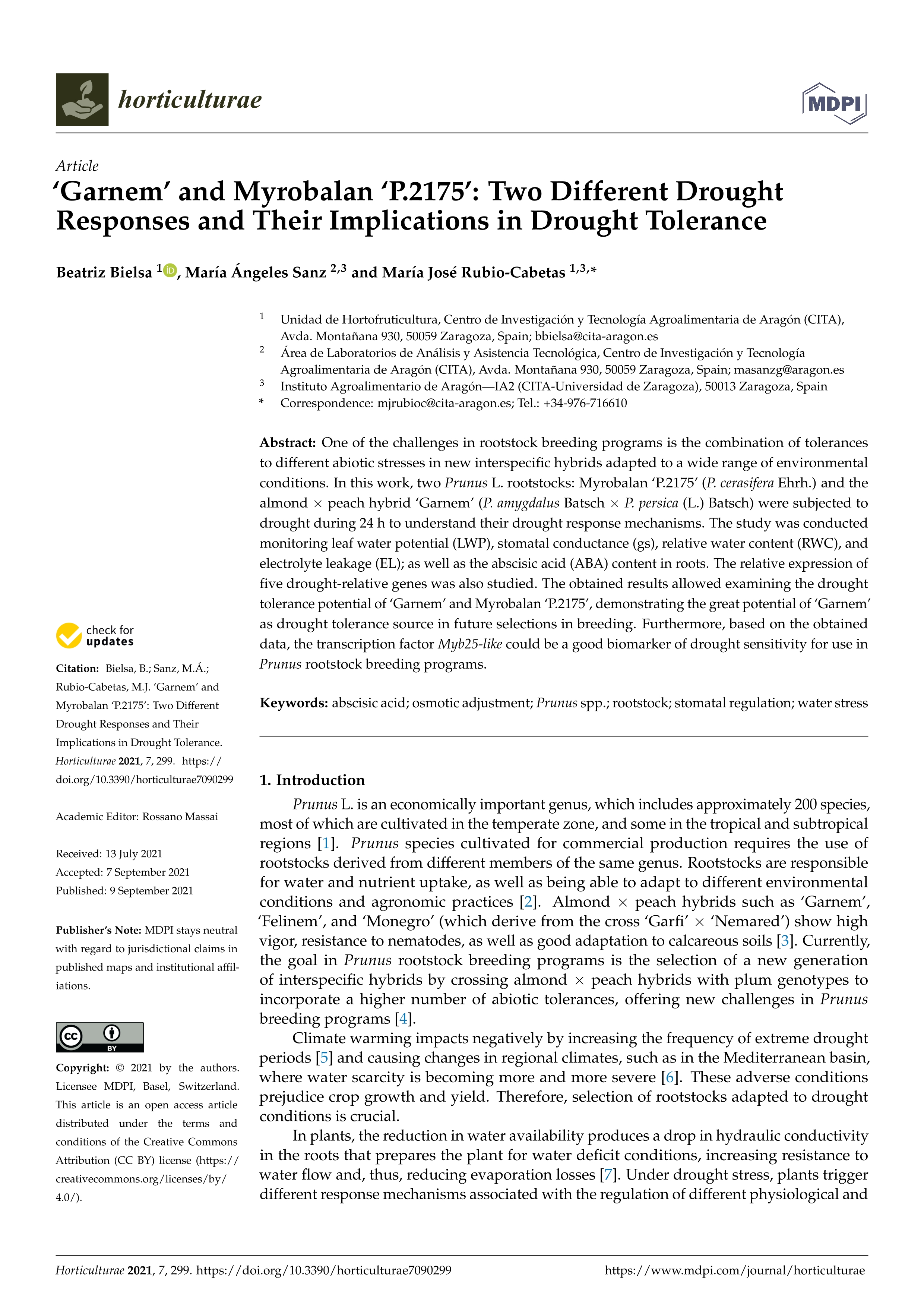 ‘Garnem’ and Myrobalan ‘P.2175’: Two Different Drought Responses and Their Implications in Drought Tolerance