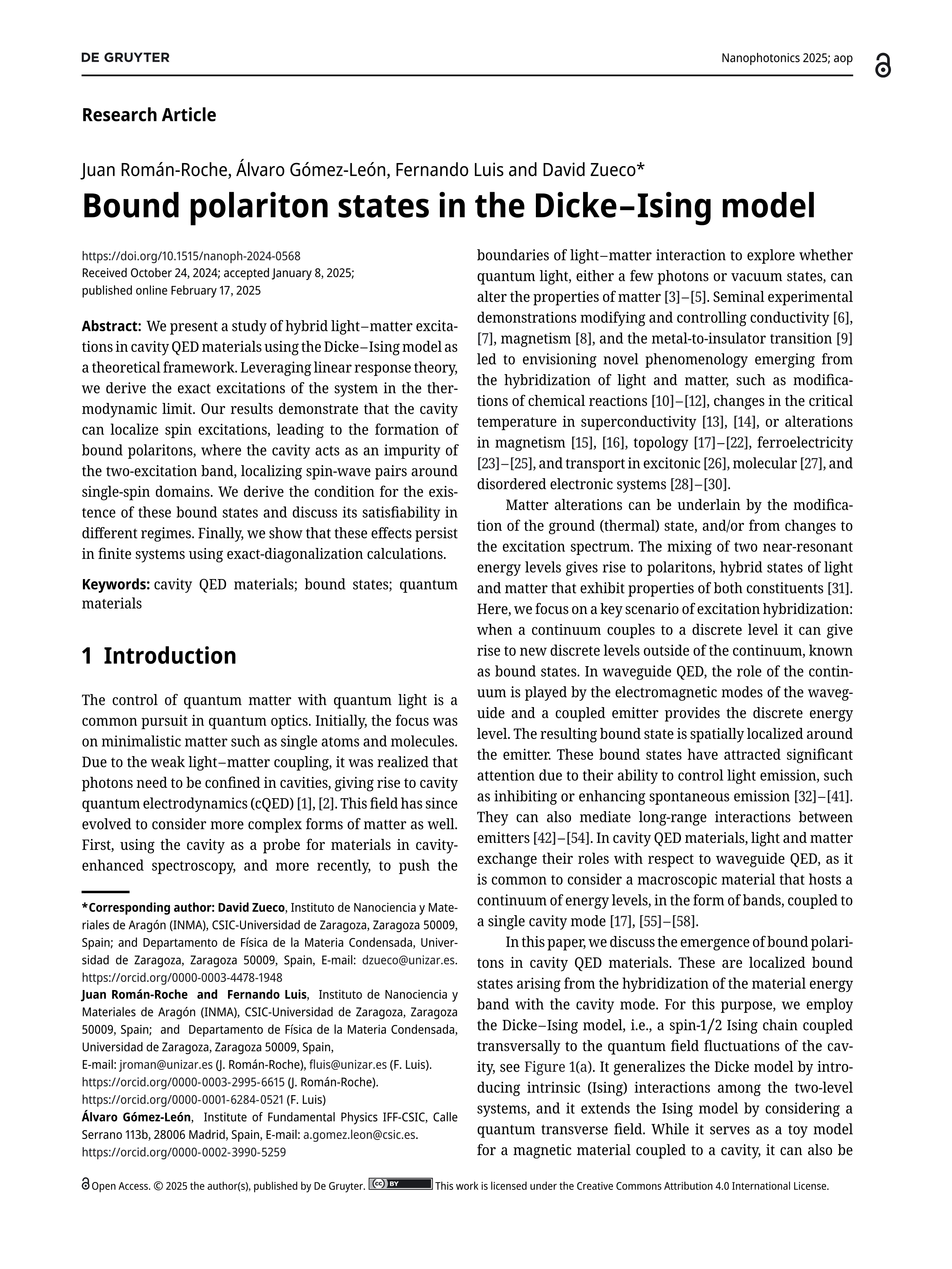 Bound polariton states in the Dicke–Ising model
