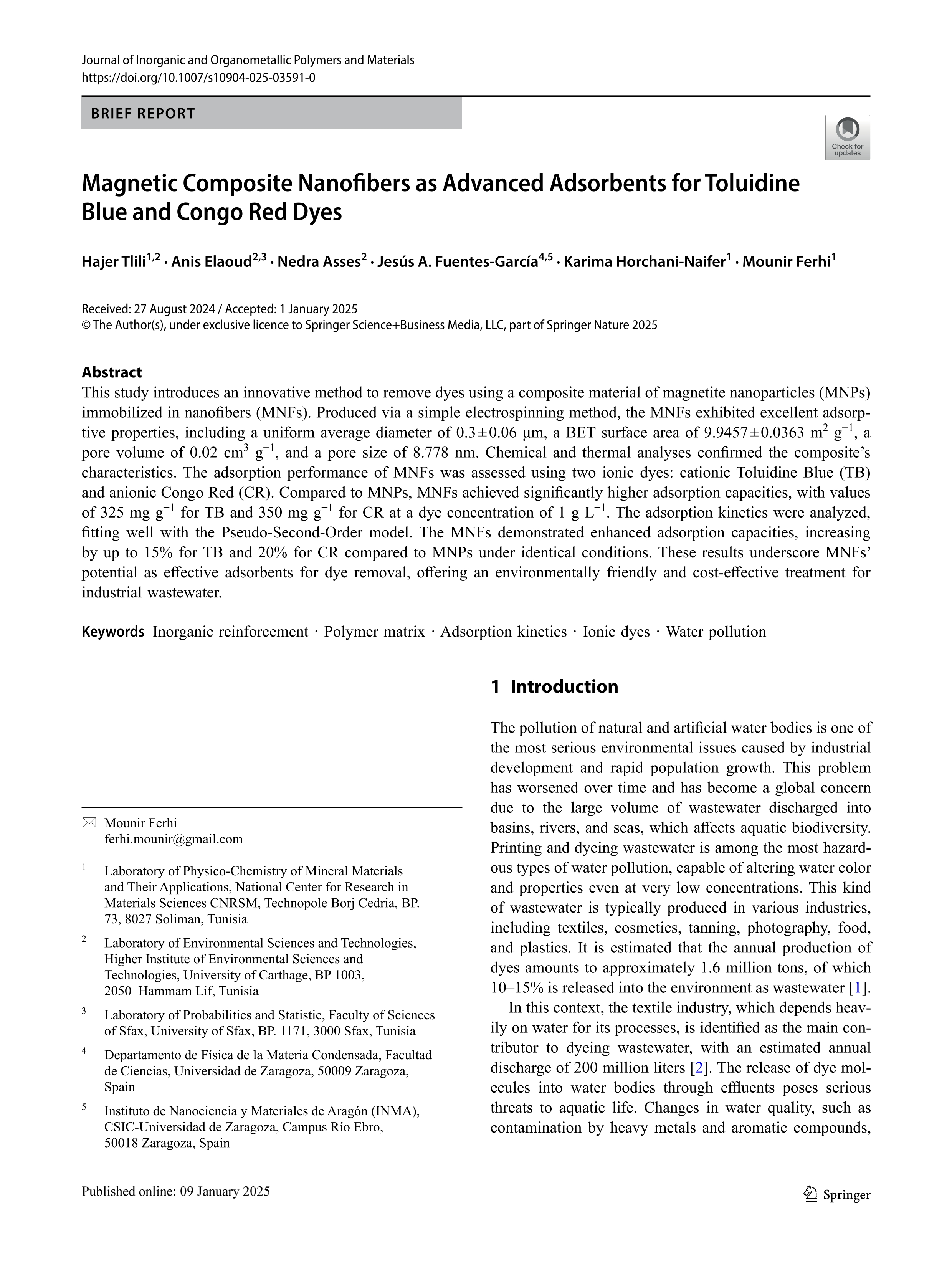 Magnetic composite nanofibers as advanced adsorbents for toluidine blue and Congo red dyes