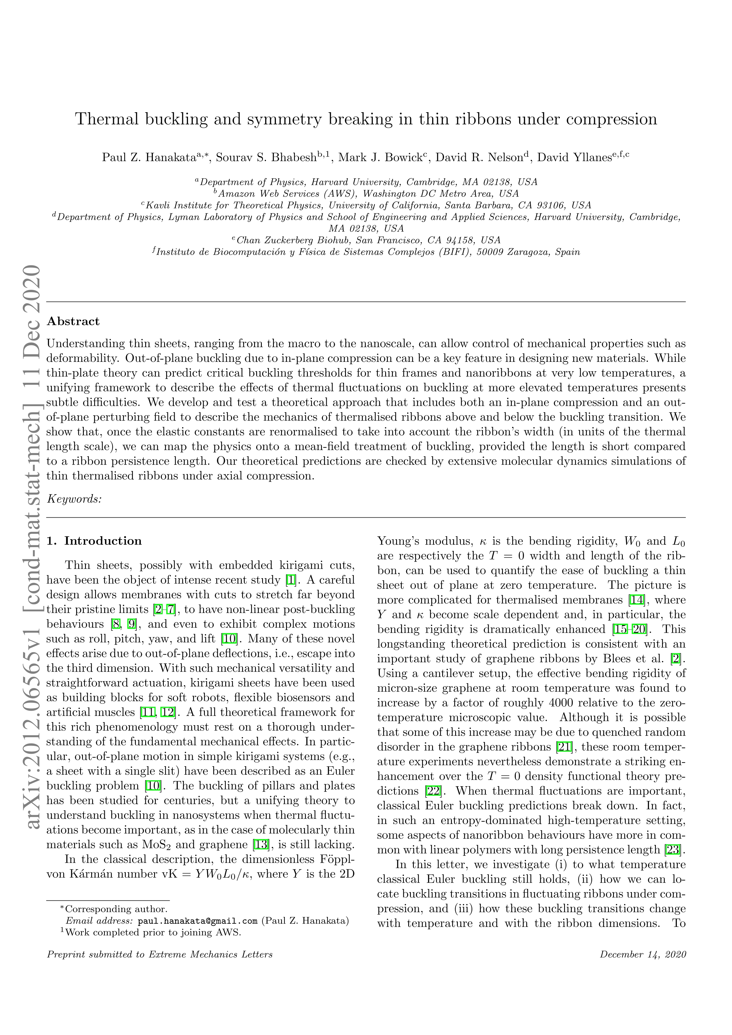Thermal buckling and symmetry breaking in thin ribbons under compression