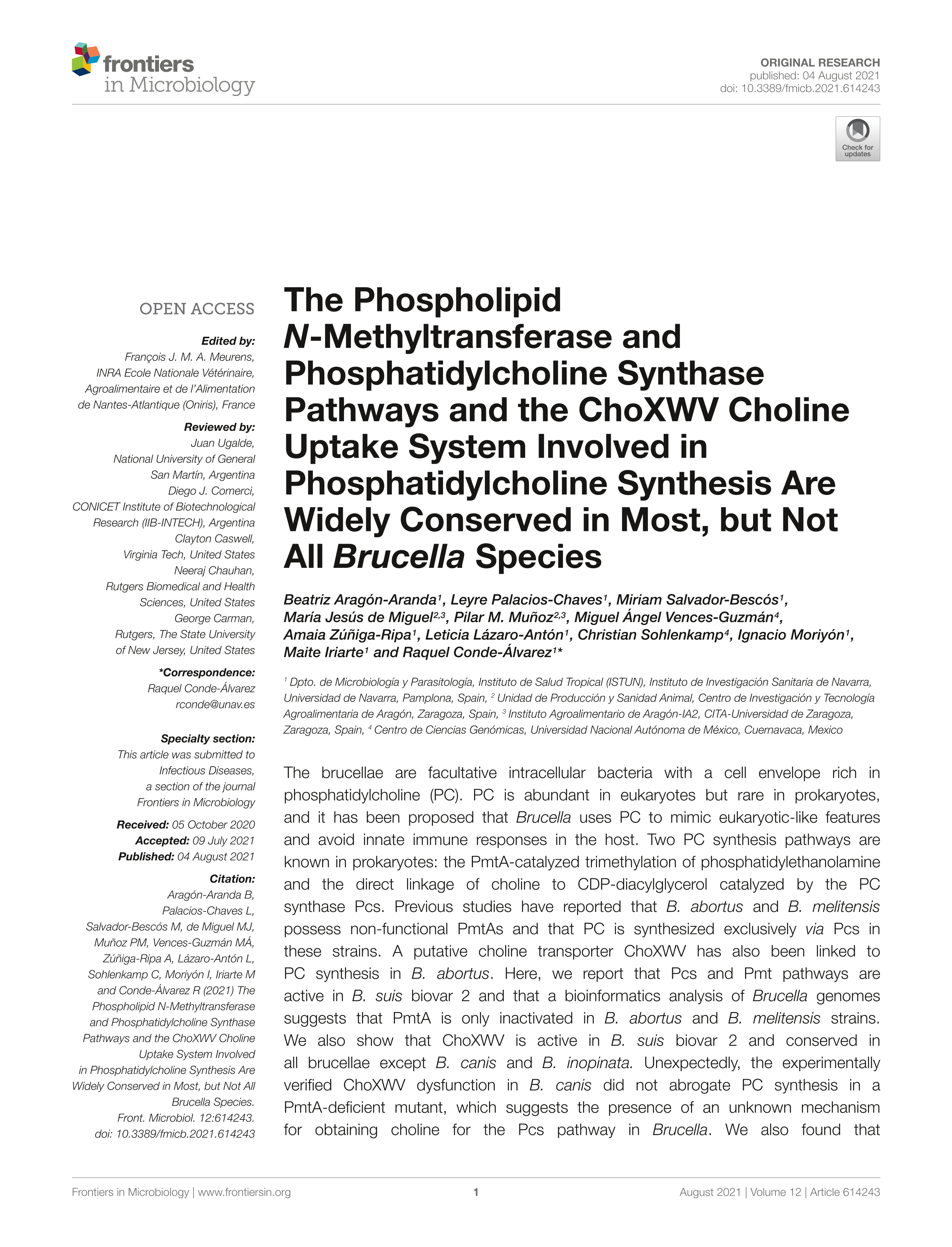 The Phospholipid N-Methyltransferase and Phosphatidylcholine Synthase Pathways and the ChoXWV Choline Uptake System Involved in Phosphatidylcholine Synthesis Are Widely Conserved in Most, but Not All Brucella Species