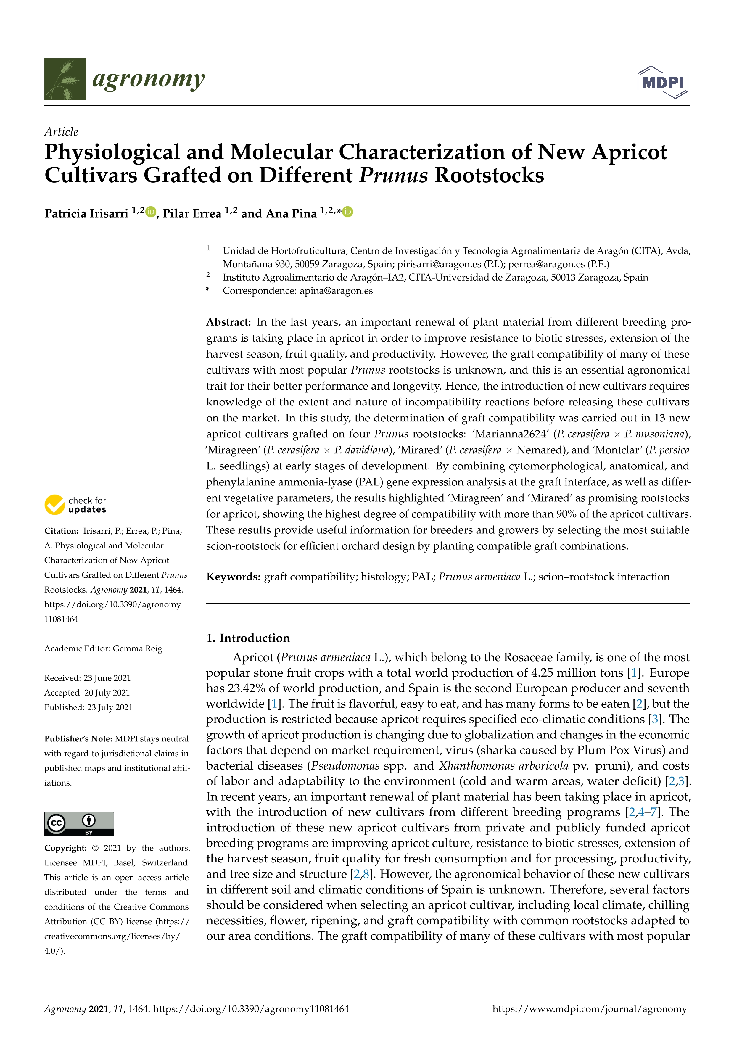 Physiological and molecular characterization of new apricot cultivars grafted on different prunus rootstocks