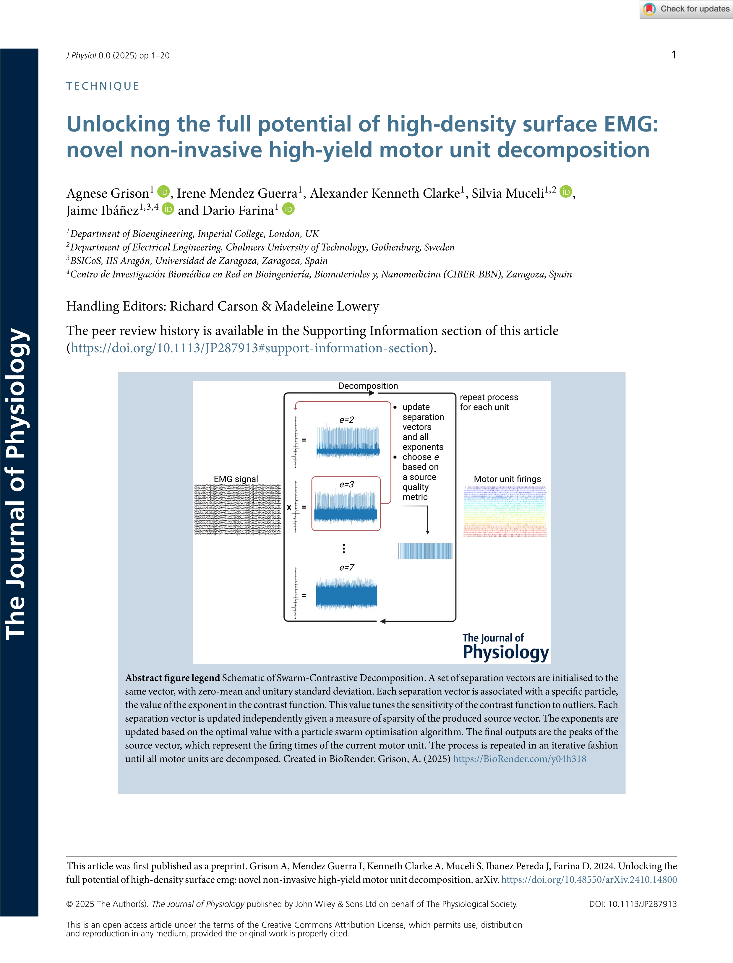 Unlocking the full potential of high‐density surface EMG: novel non‐invasive high‐yield motor unit decomposition