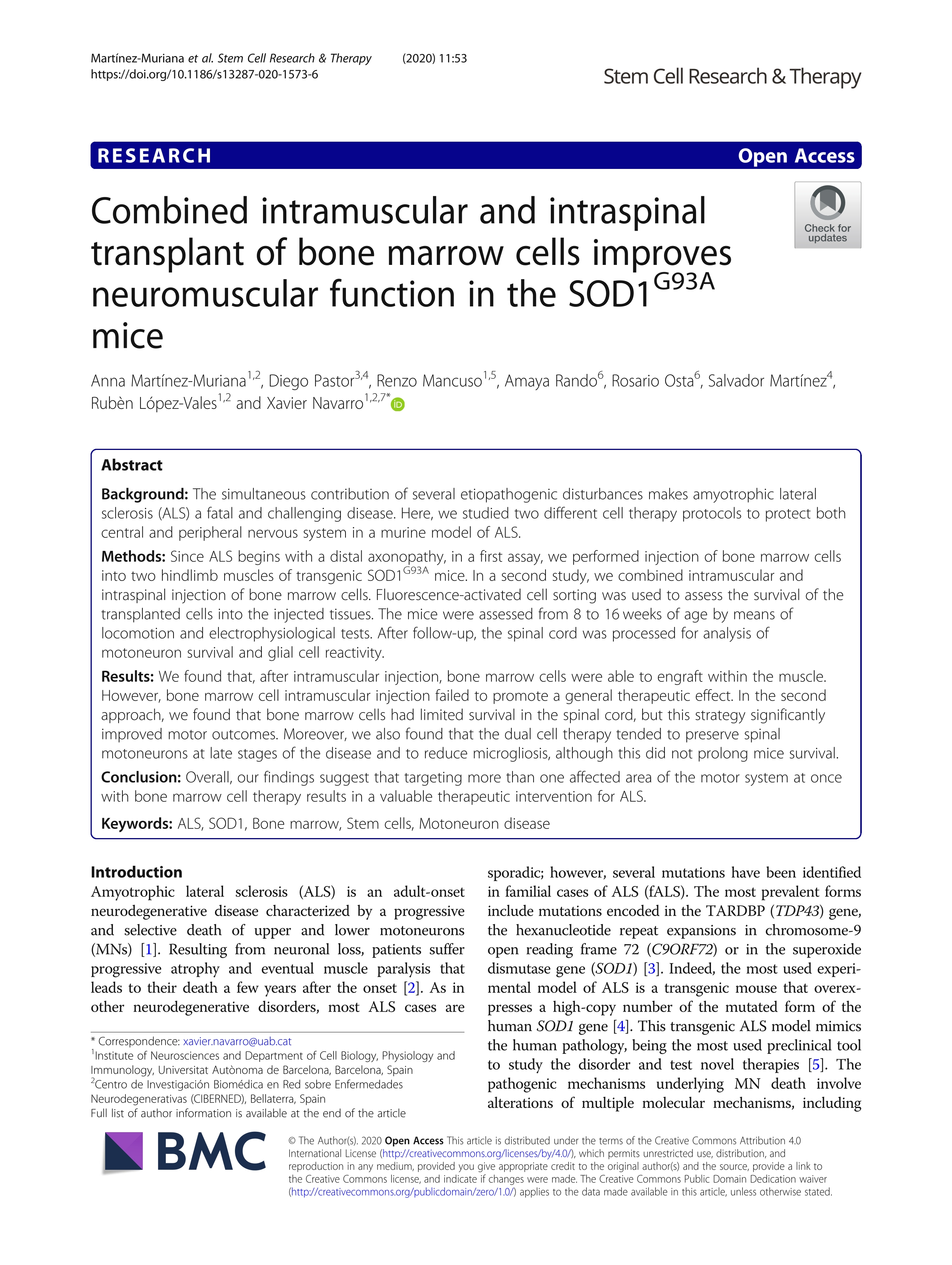 Combined intramuscular and intraspinal transplant of bone marrow cells improves neuromuscular function in the SOD1G93A mice
