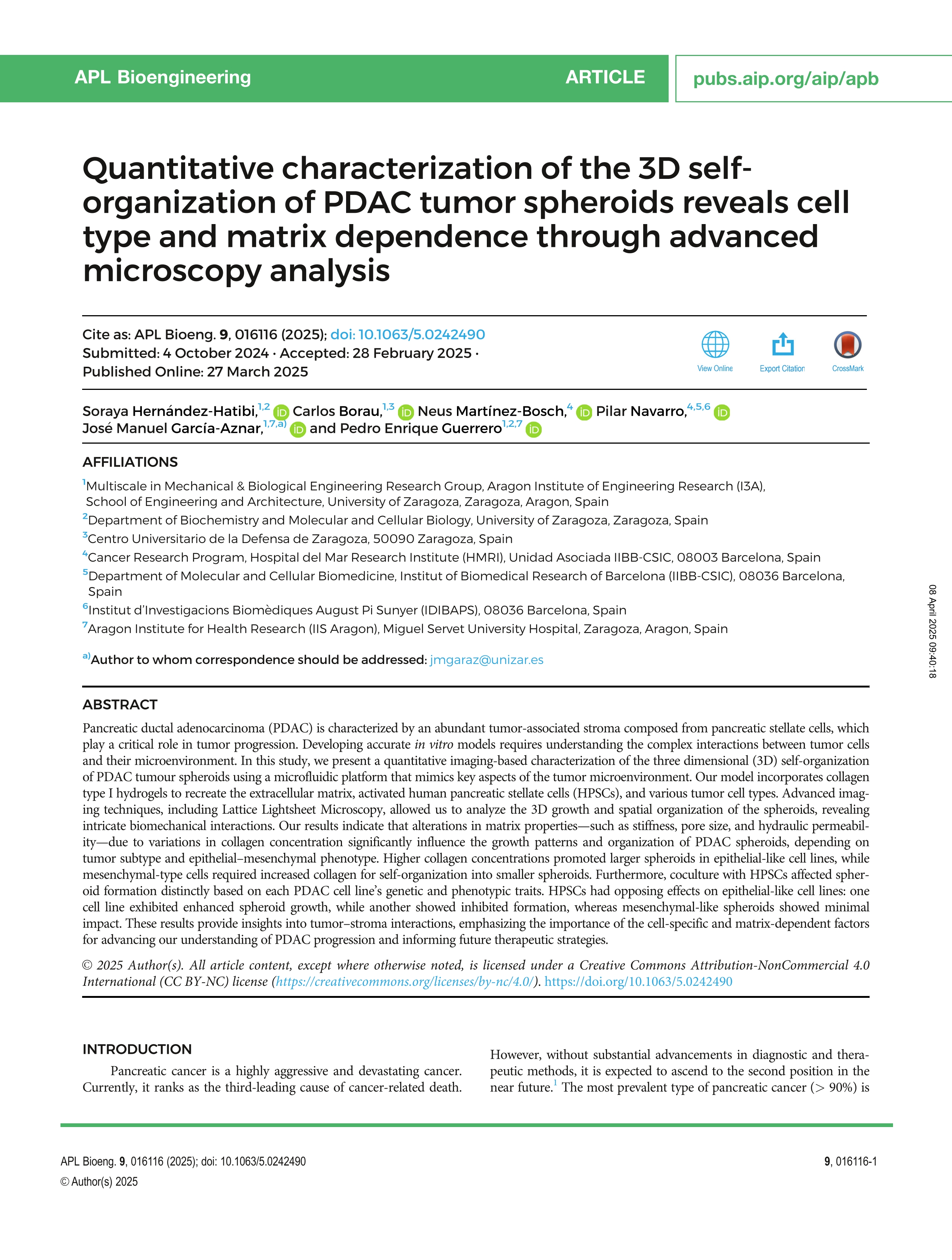 Quantitative characterization of the 3D self-organization of PDAC tumor spheroids reveals cell type and matrix dependence through advanced microscopy analysis
