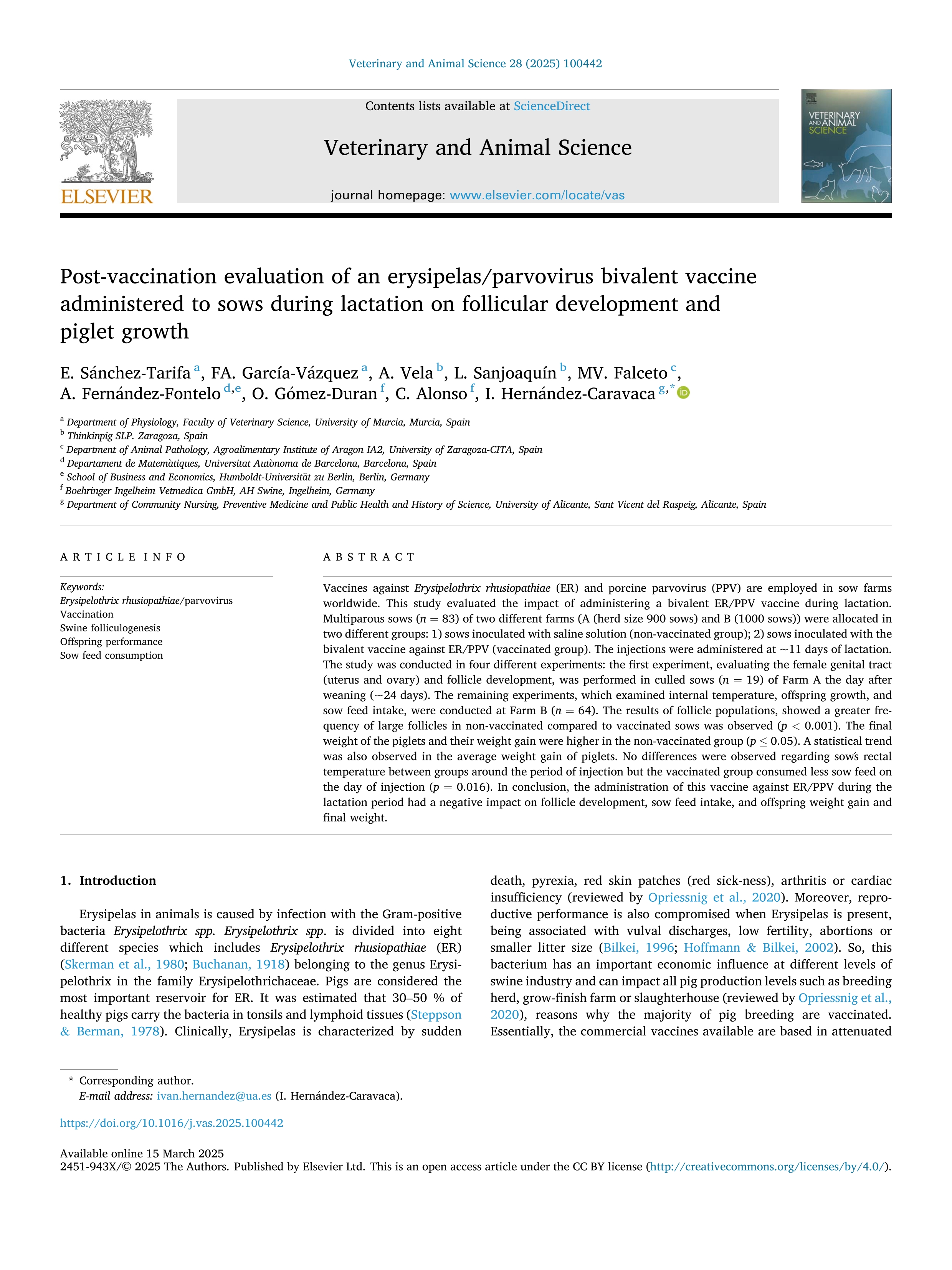 Post-vaccination evaluation of an erysipelas/parvovirus bivalent vaccine administered to sows during lactation on follicular development and piglet growth