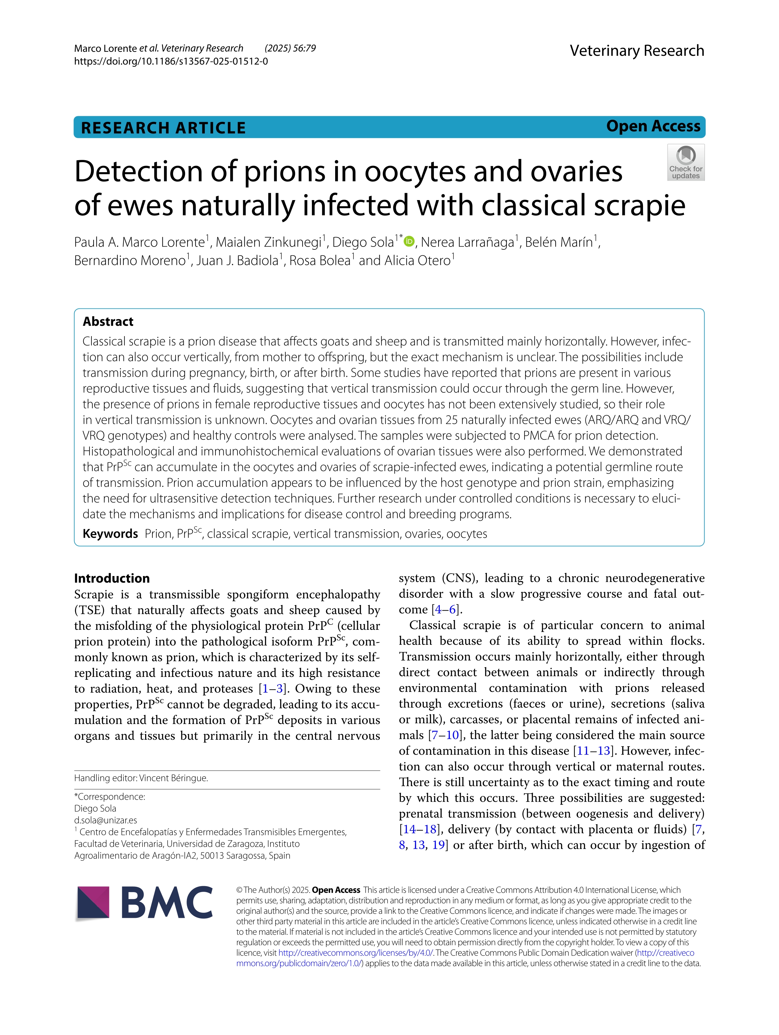 Detection of prions in oocytes and ovaries of ewes naturally infected with classical scrapie