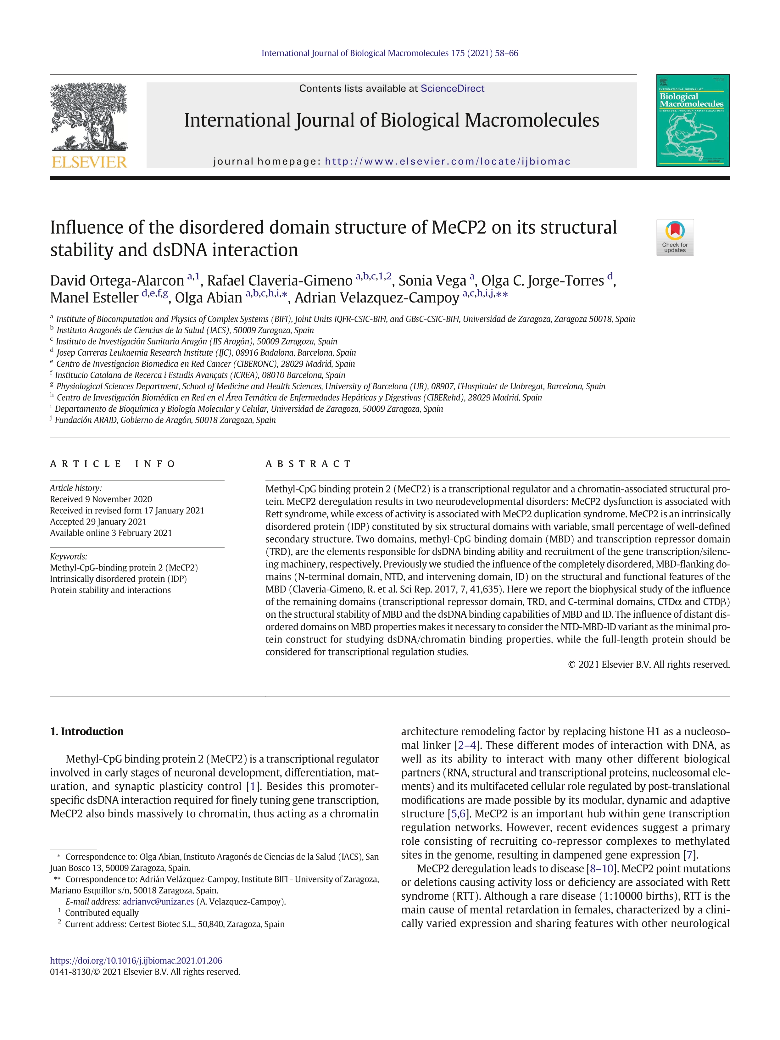 Influence of the disordered domain structure of MeCP2 on its structural stability and dsDNA interaction
