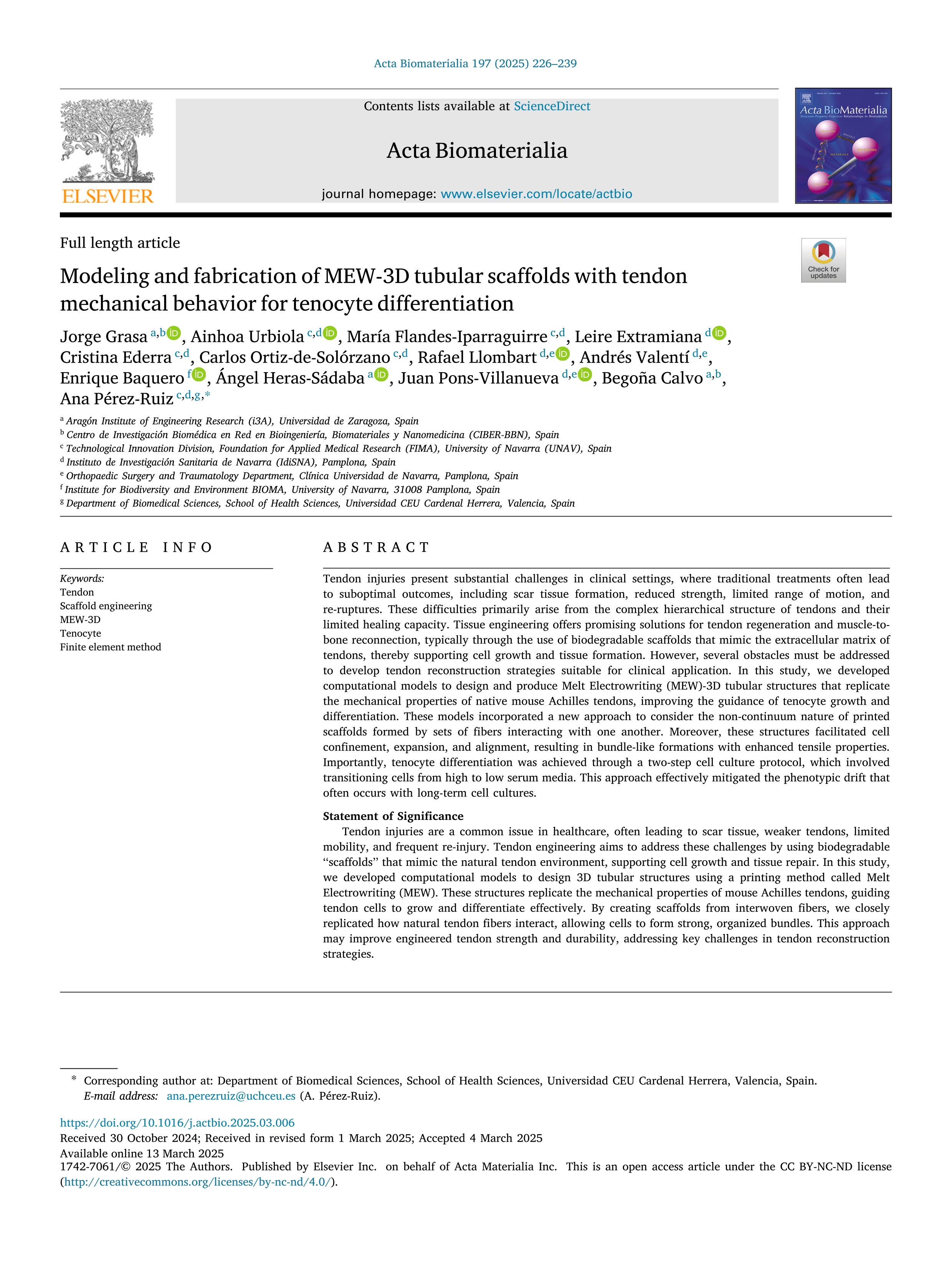 Modeling and fabrication of MEW-3D tubular scaffolds with tendon mechanical behavior for tenocyte differentiation