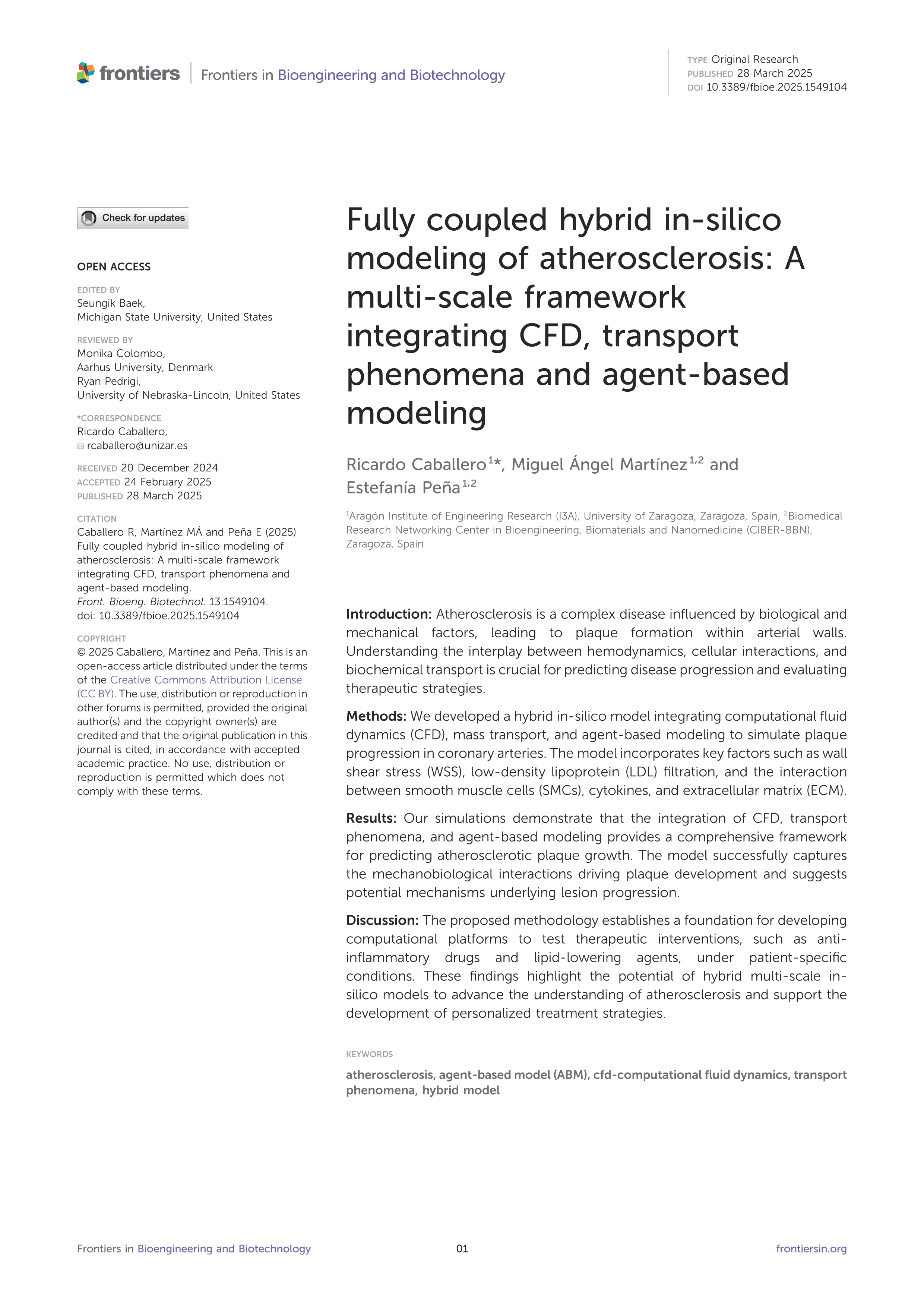 Fully coupled hybrid in-silico modeling of atherosclerosis: A multi-scale framework integrating CFD, transport phenomena and agent-based modeling