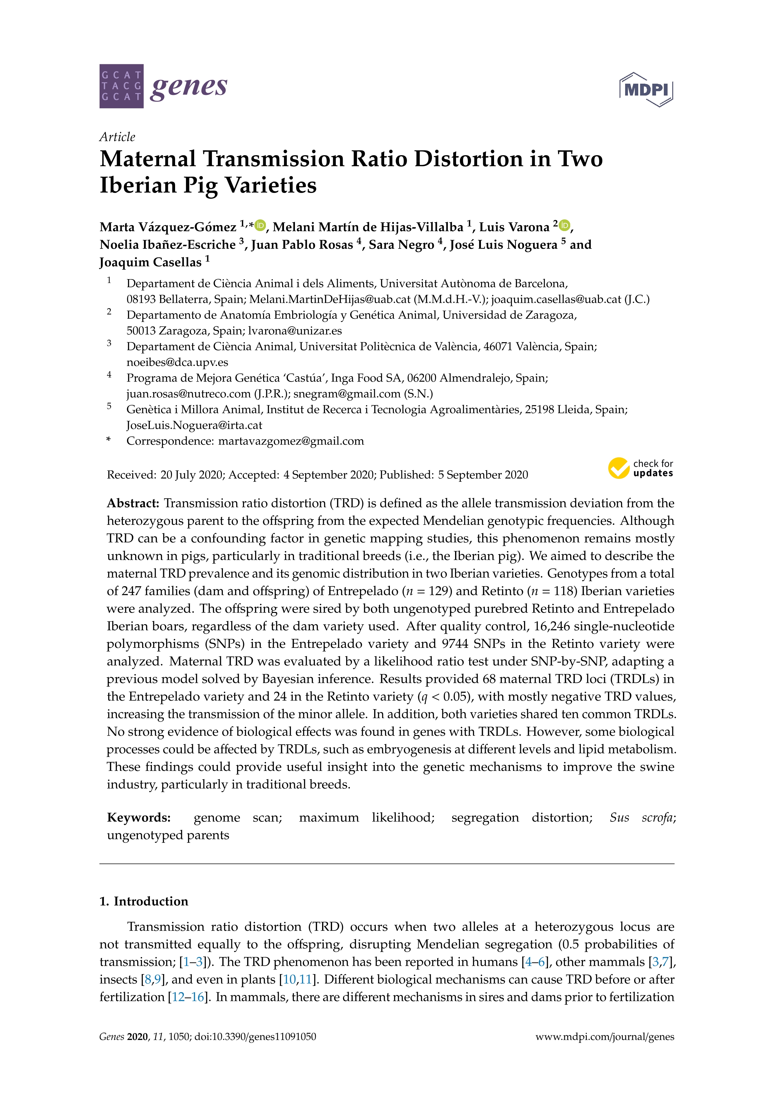 Maternal transmission ratio distortion in two iberian pig varieties