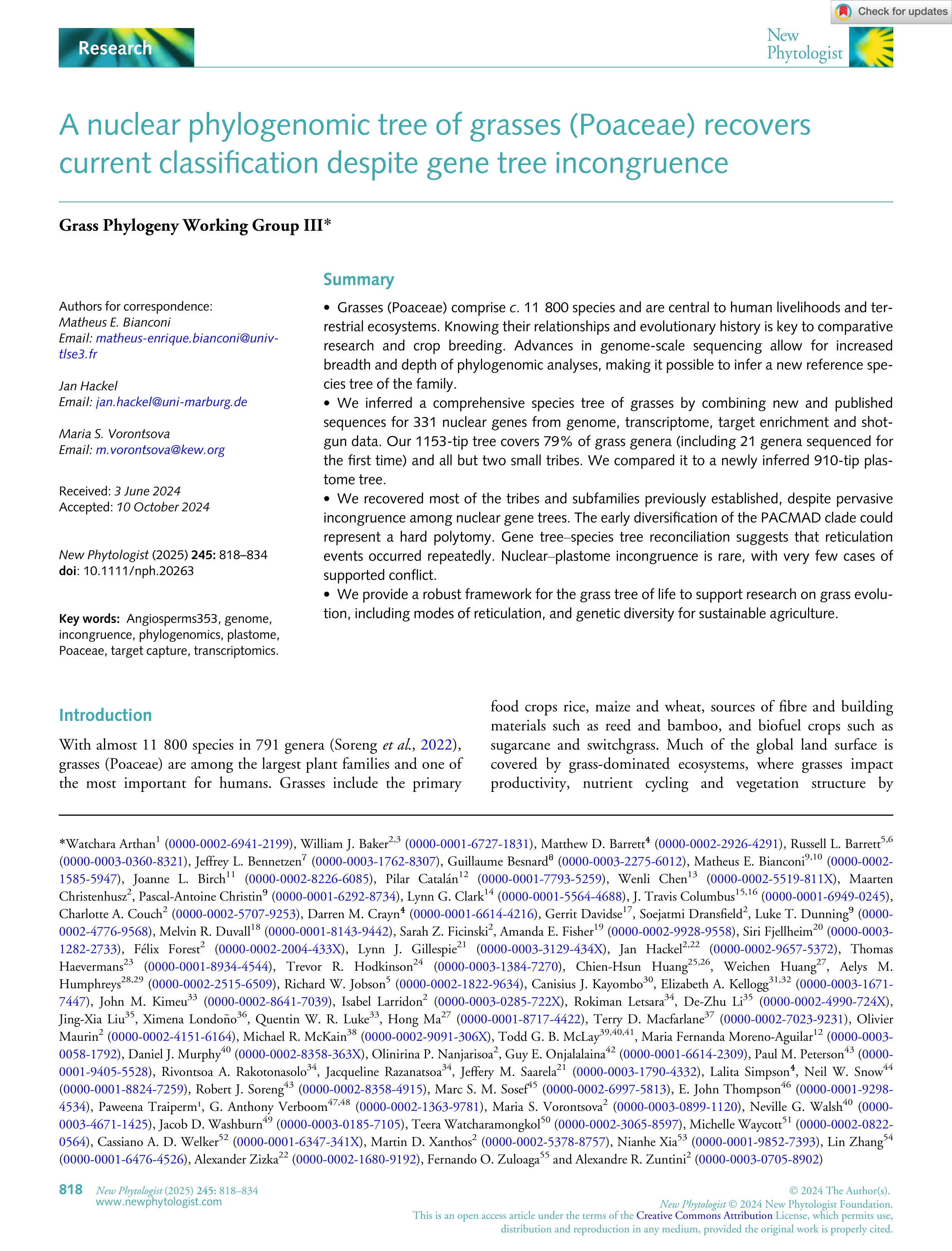 A nuclear phylogenomic tree of grasses (Poaceae) recovers current classification despite gene tree incongruence