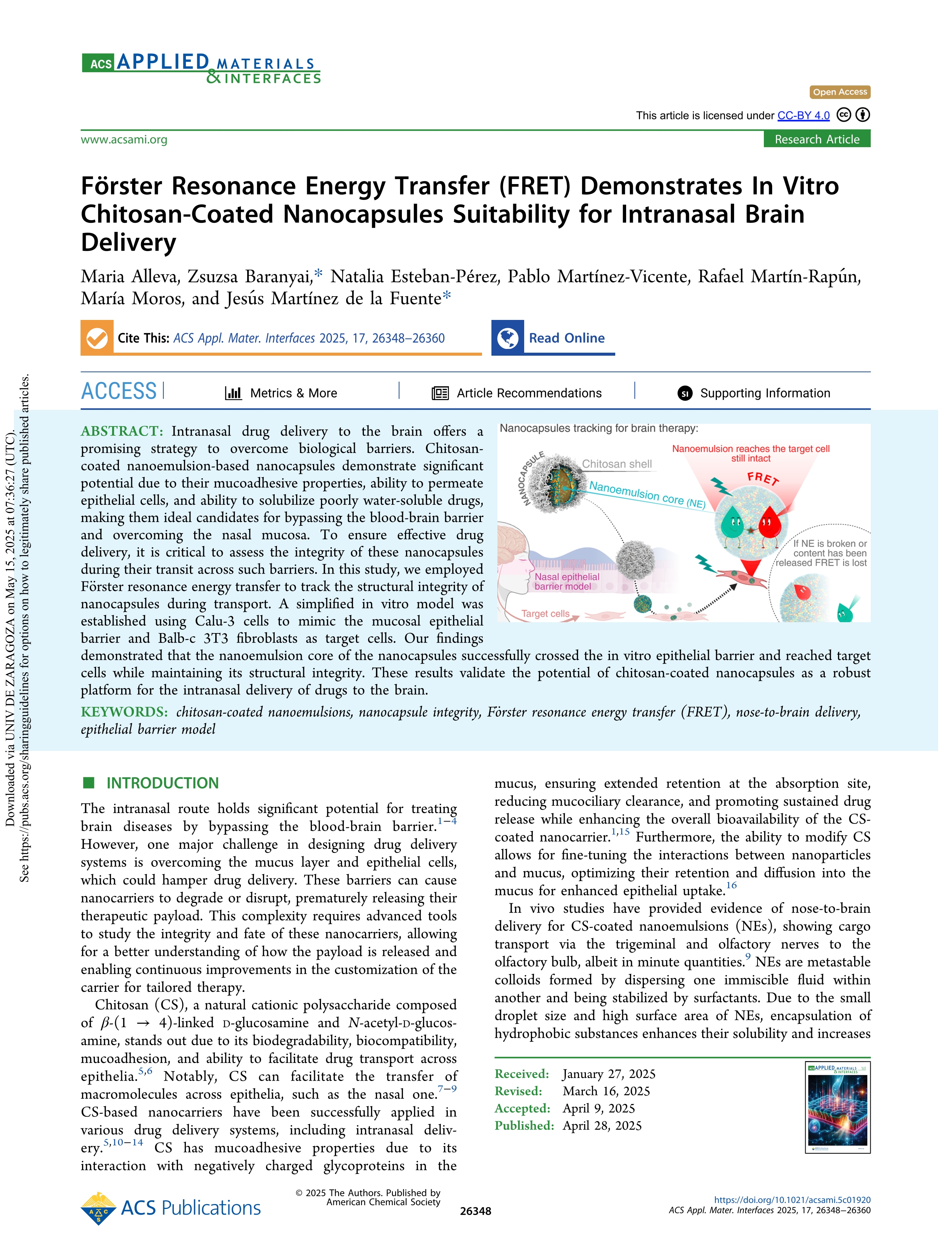 Förster resonance energy Transfer (FRET) demonstrates in vitro chitosan-coated nanocapsules suitability for intranasal brain delivery