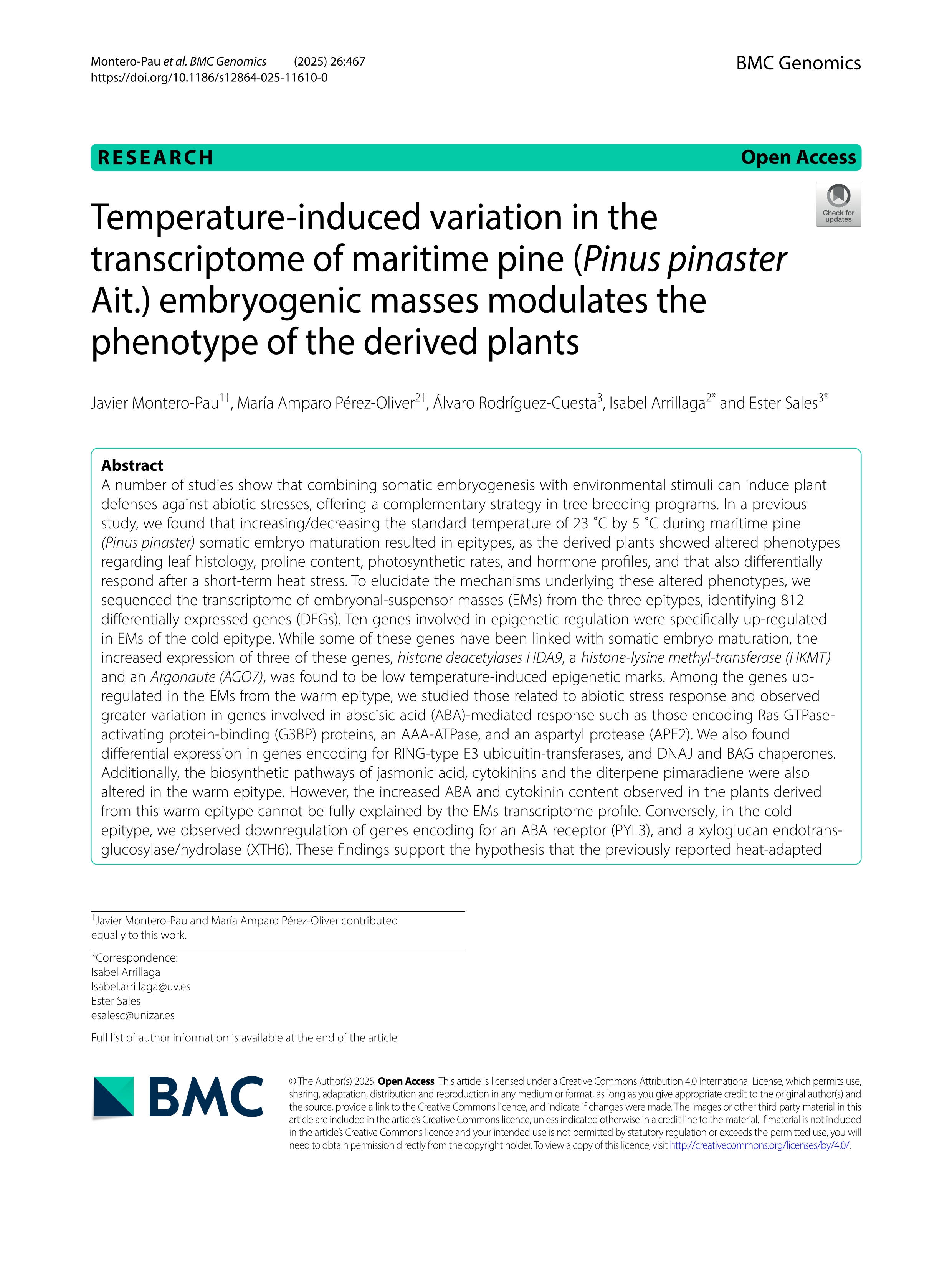 Temperature-induced variation in the transcriptome of maritime pine (Pinus pinaster Ait.) embryogenic masses modulates the phenotype of the derived plants