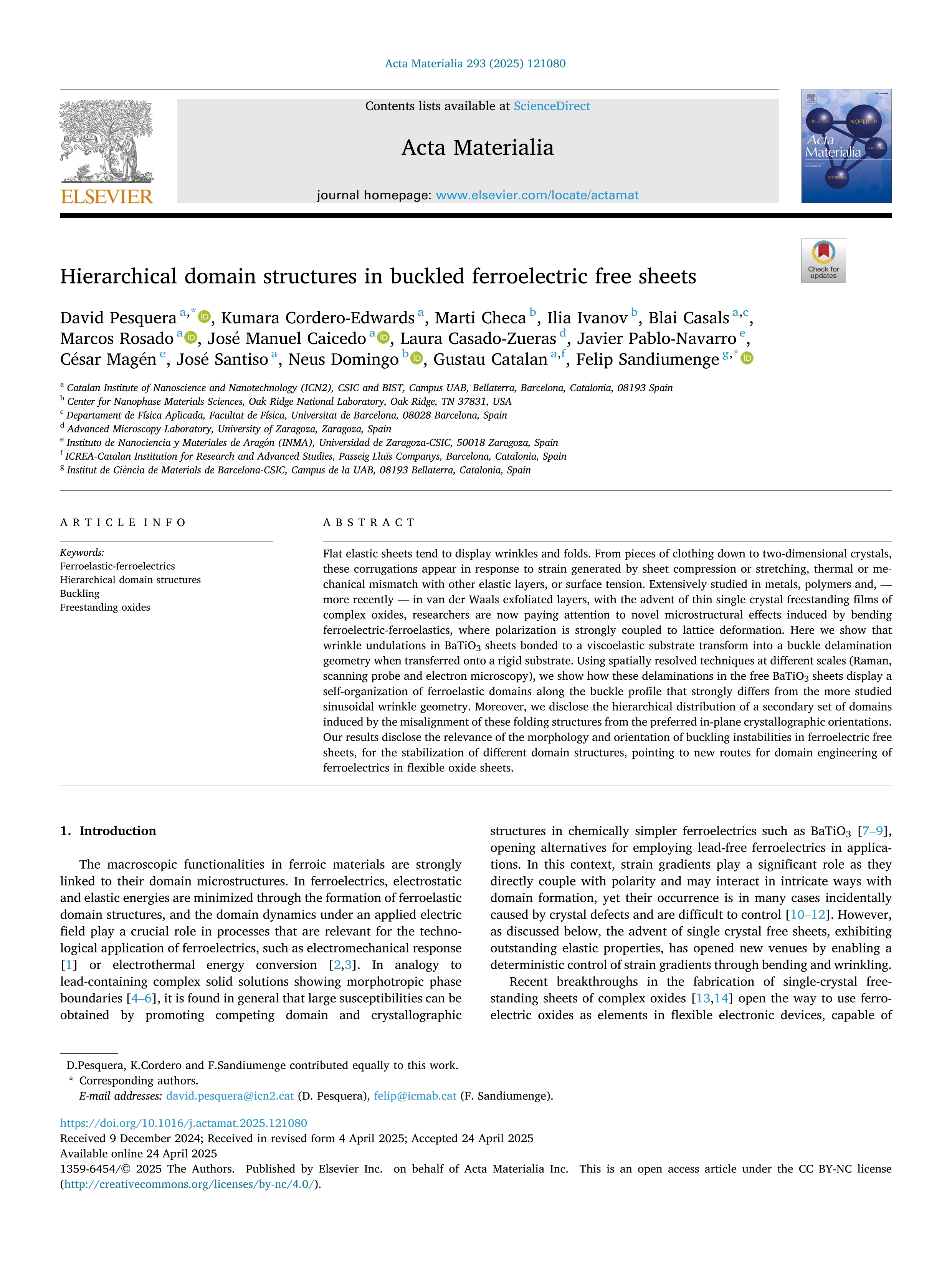 Hierarchical domain structures in buckled ferroelectric free sheets