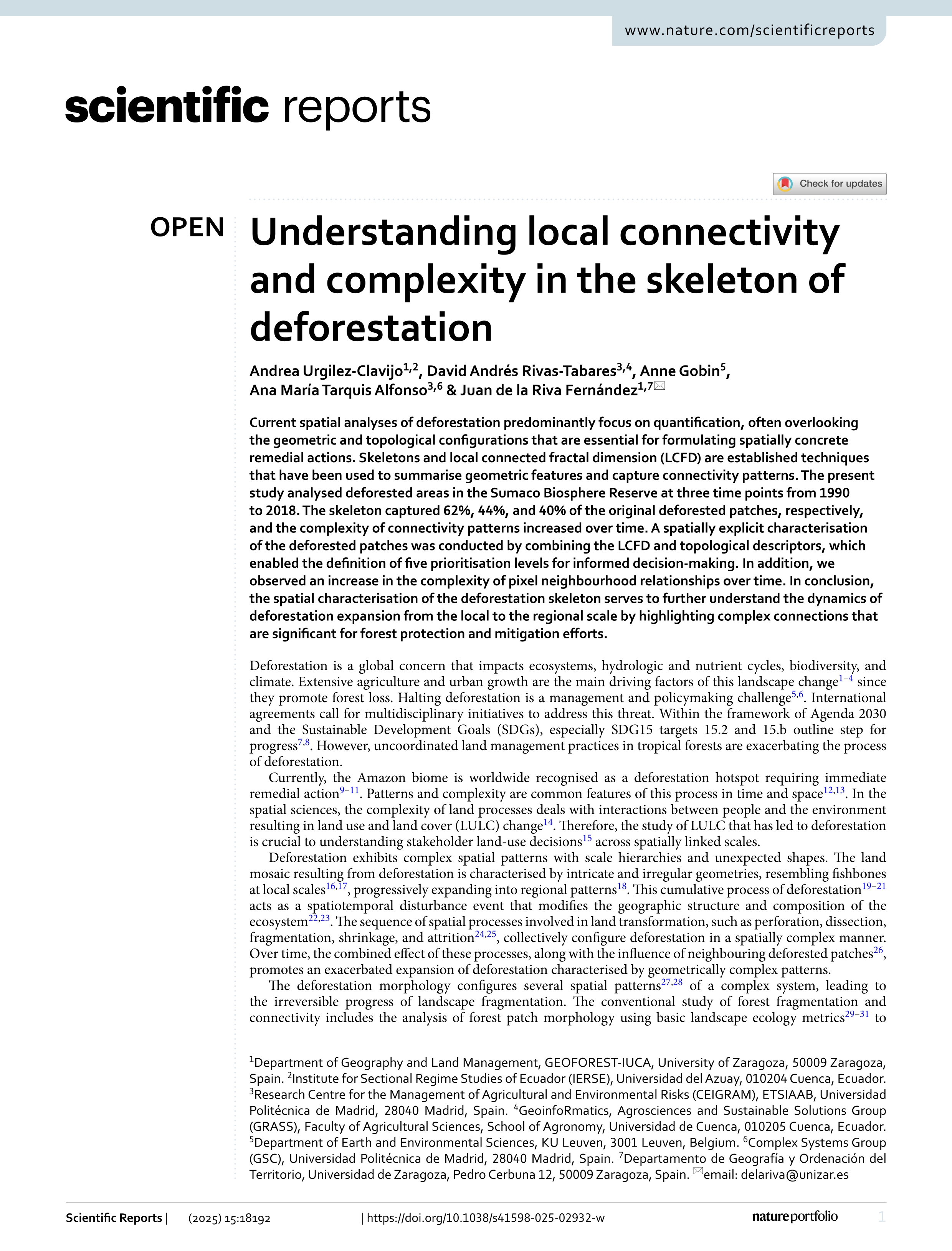 Understanding local connectivity and complexity in the skeleton of deforestation