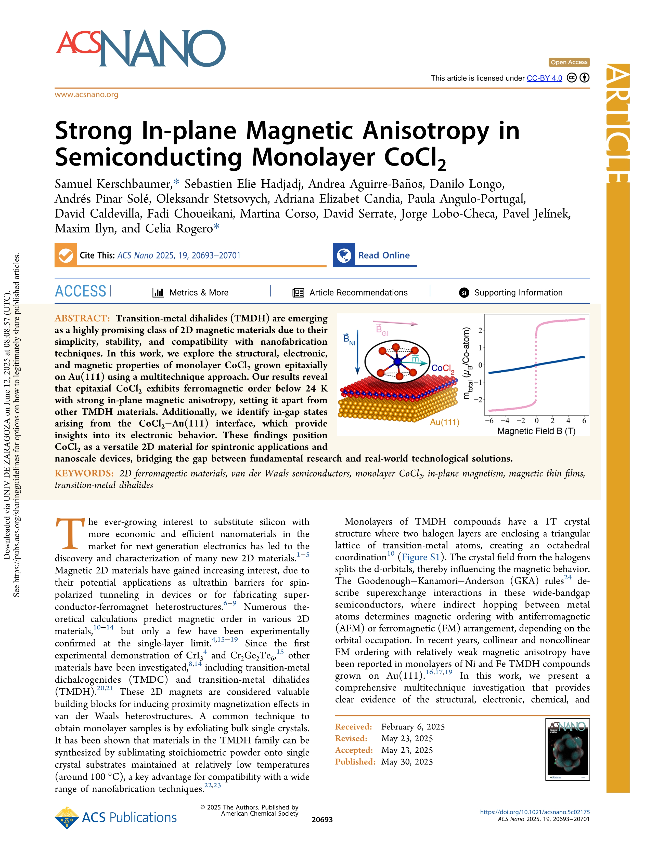 Strong In-plane Magnetic Anisotropy in Semiconducting Monolayer CoCl2