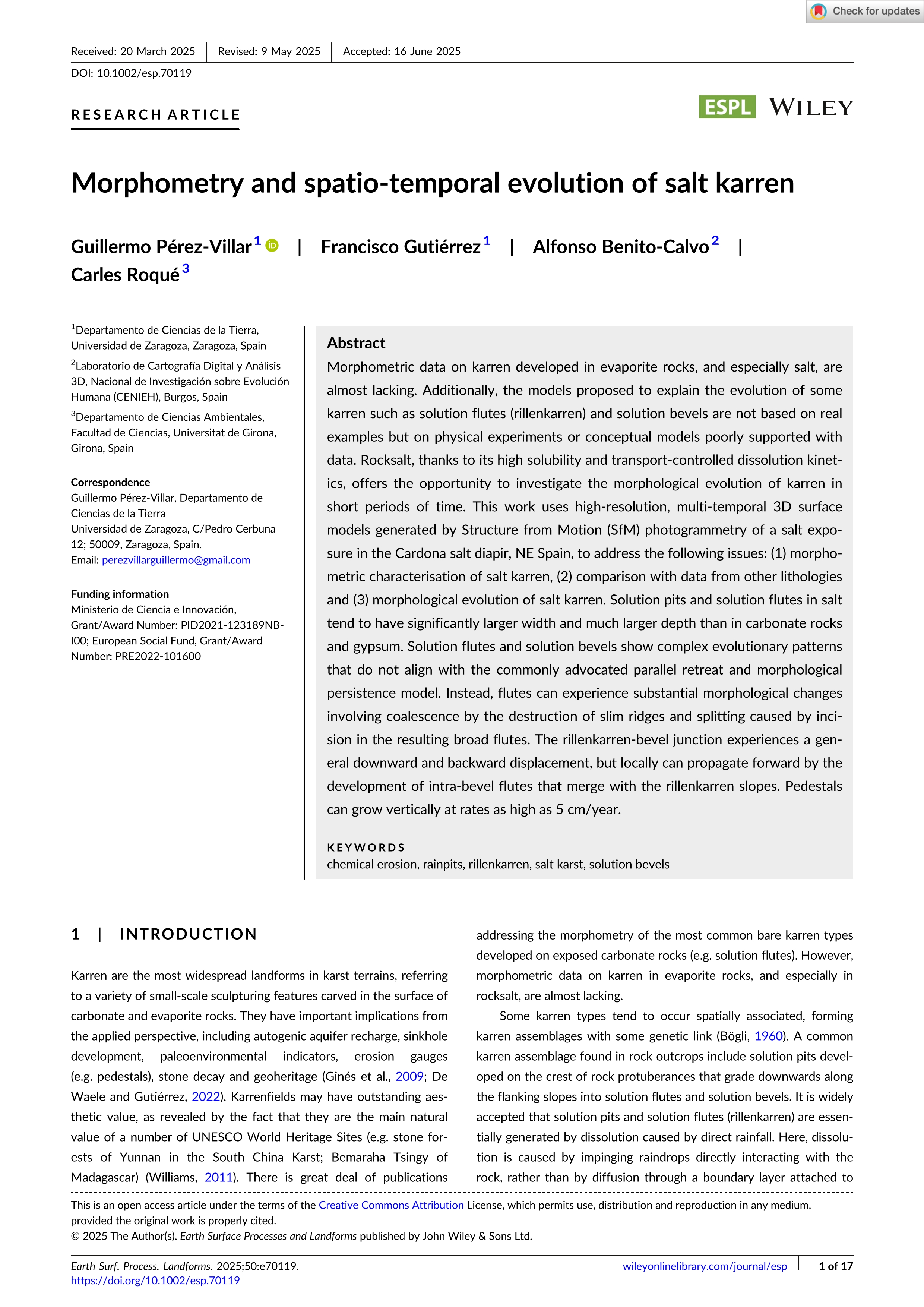 Morphometry and spatio‐temporal evolution of salt karren