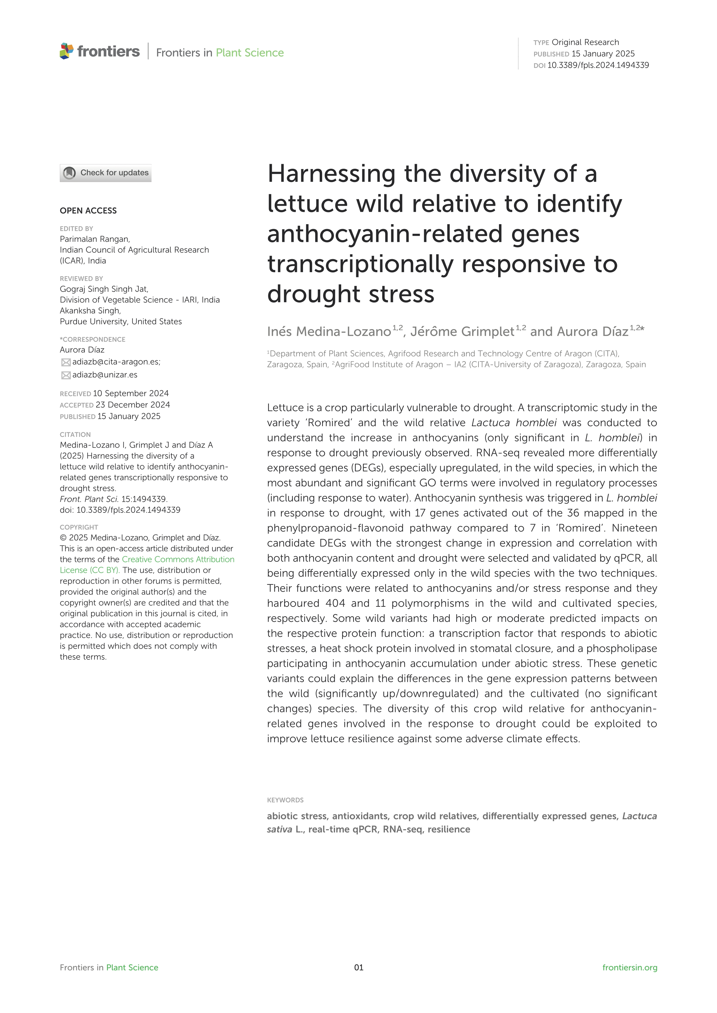 Harnessing the diversity of a lettuce wild relative to identify anthocyanin-related genes transcriptionally responsive to drought stress