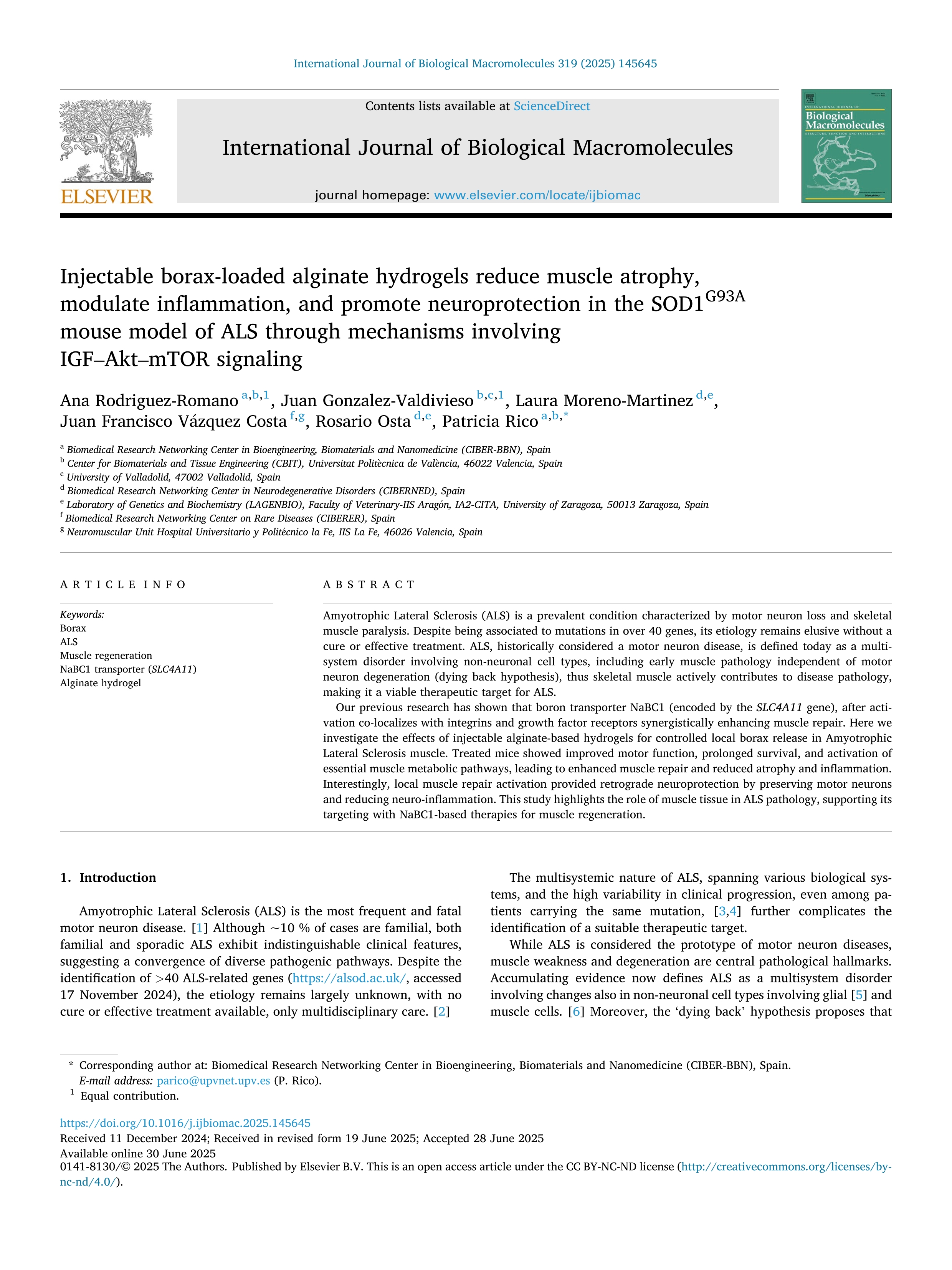 Injectable borax-loaded alginate hydrogels reduce muscle atrophy, modulate inflammation, and promote neuroprotection in the SOD1G93A mouse model of ALS through mechanisms involving IGF–Akt–mTOR signaling