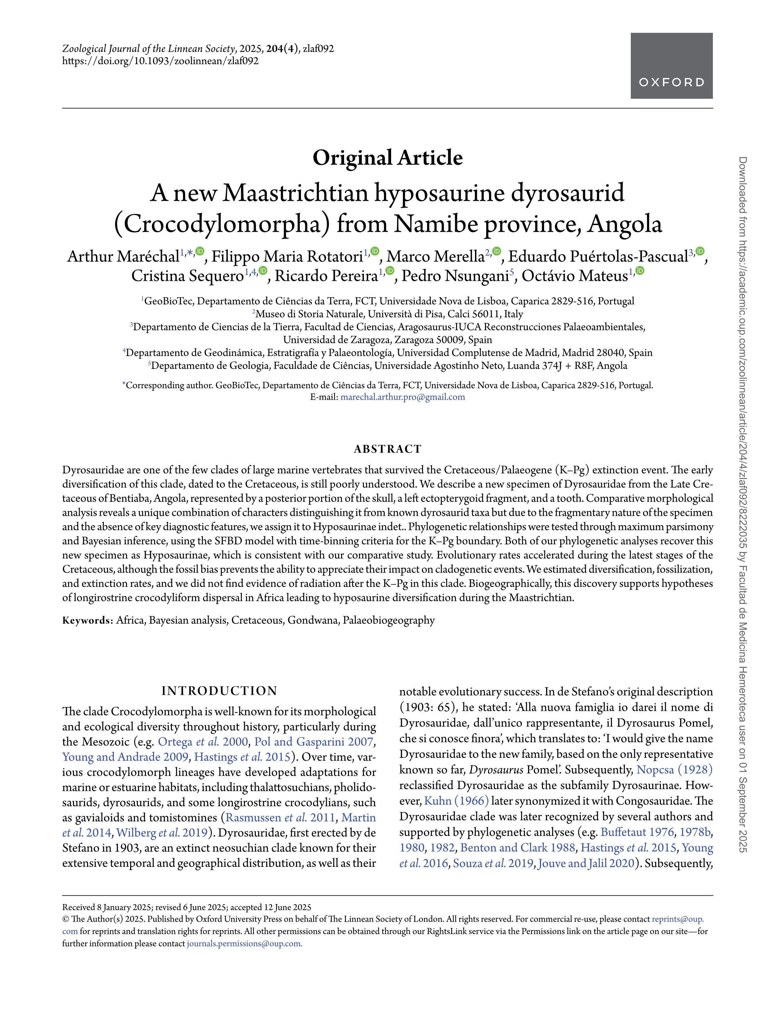 A new Maastrichtian hyposaurine dyrosaurid (Crocodylomorpha) from Namibe province, Angola